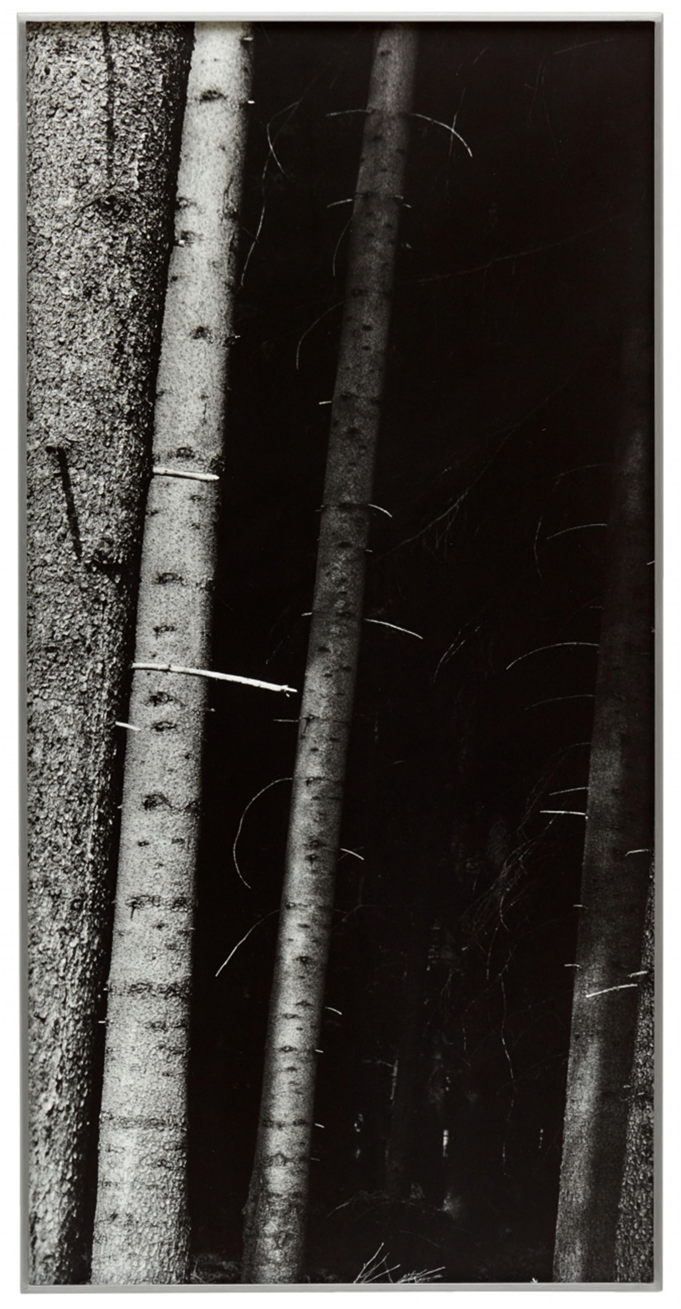 Untitled From The Series Gebet Im Wald Lot 589