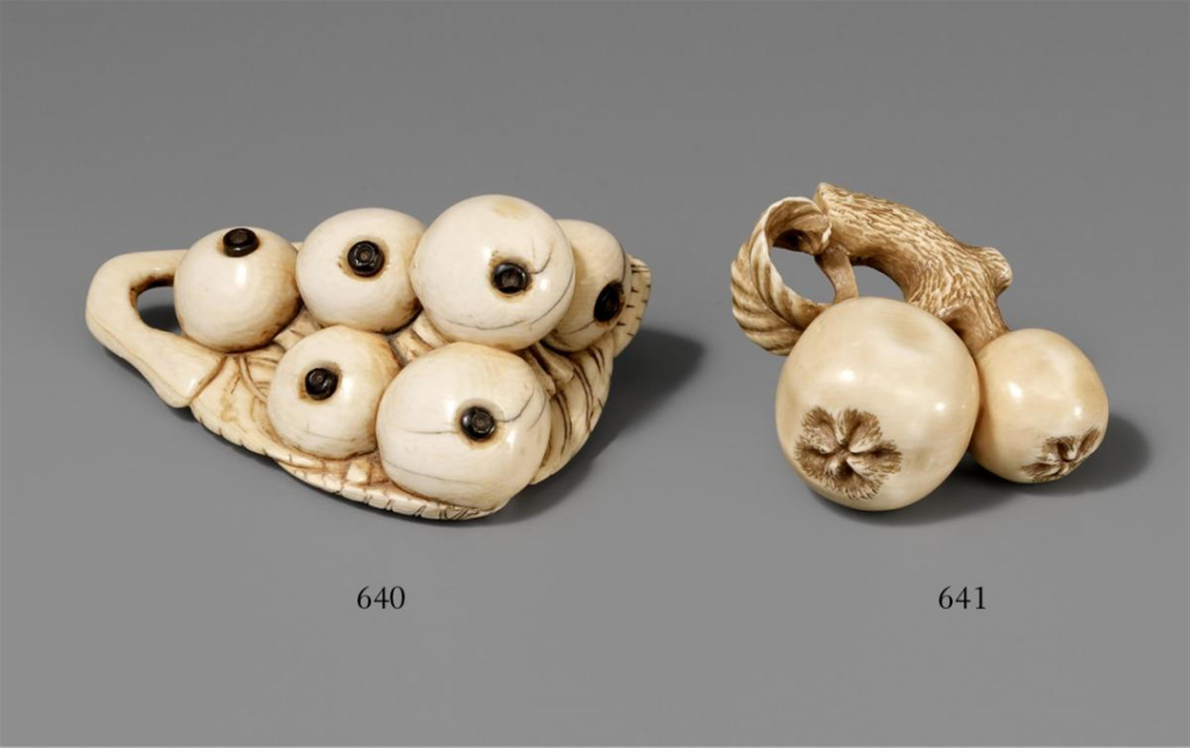 An ivory netsuke of a biwa branch. Early 19th century - image-1