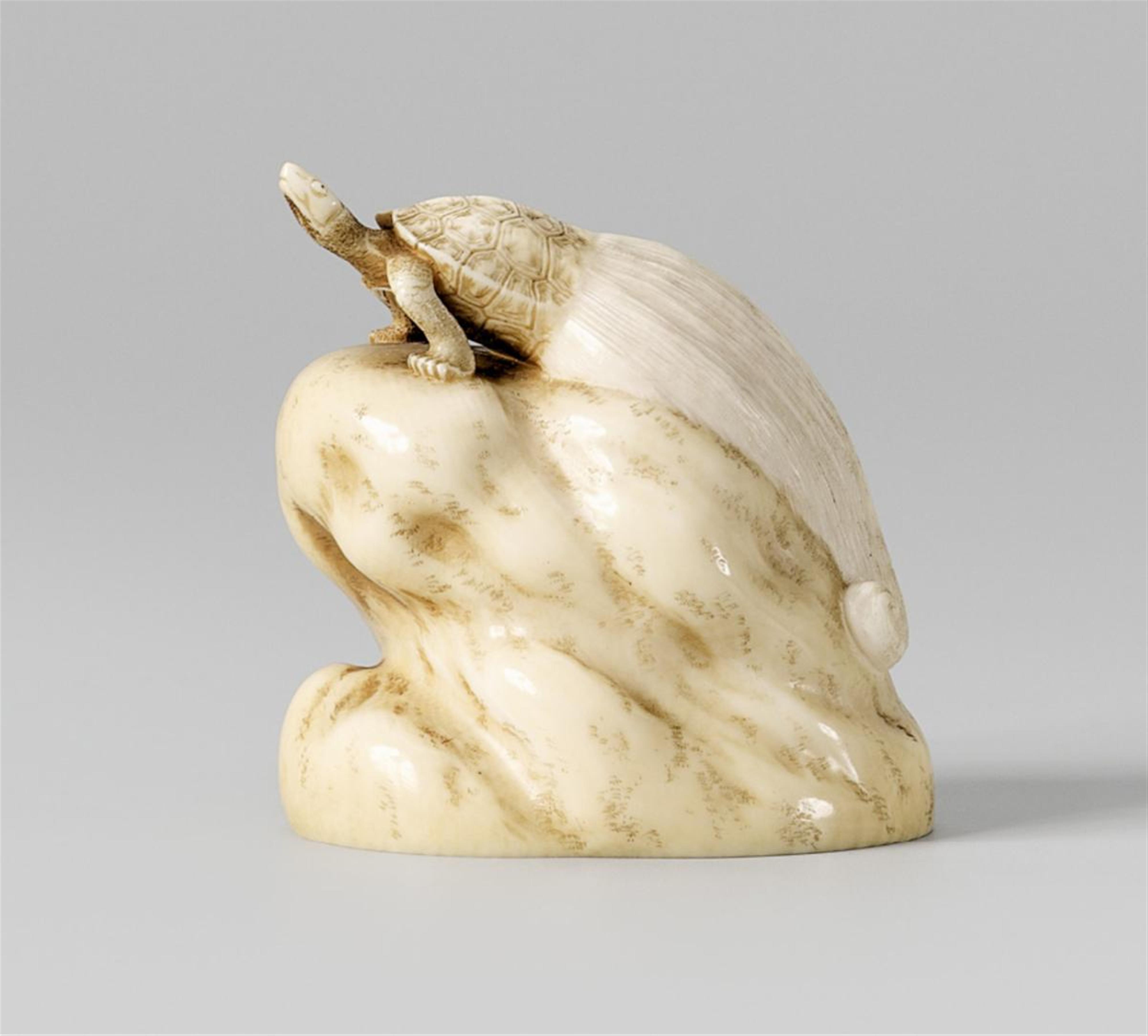 A small ivory okimono of a curious long-tailed turtle (minogame). Late 19th century - image-1
