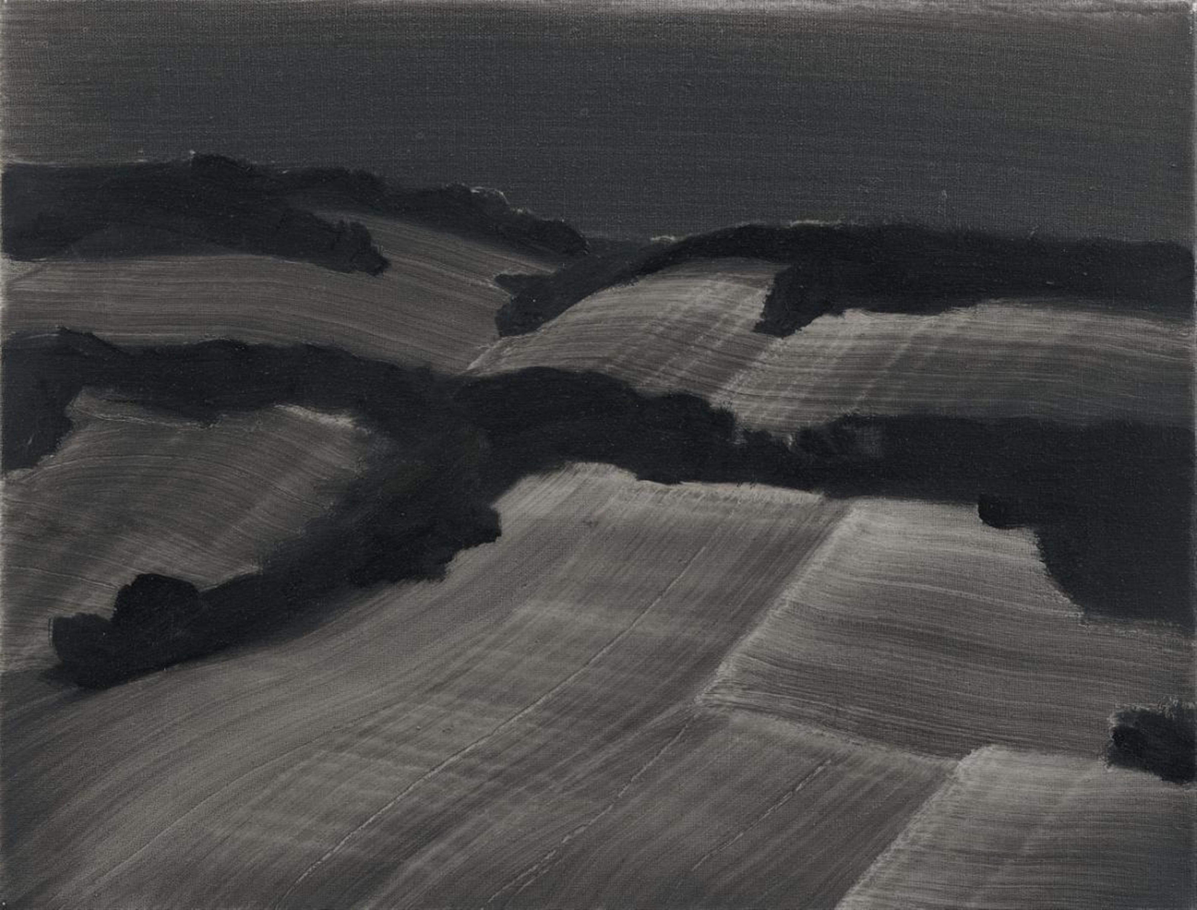 Rafal Bujnowski - Untitled (Night landscape) - image-1
