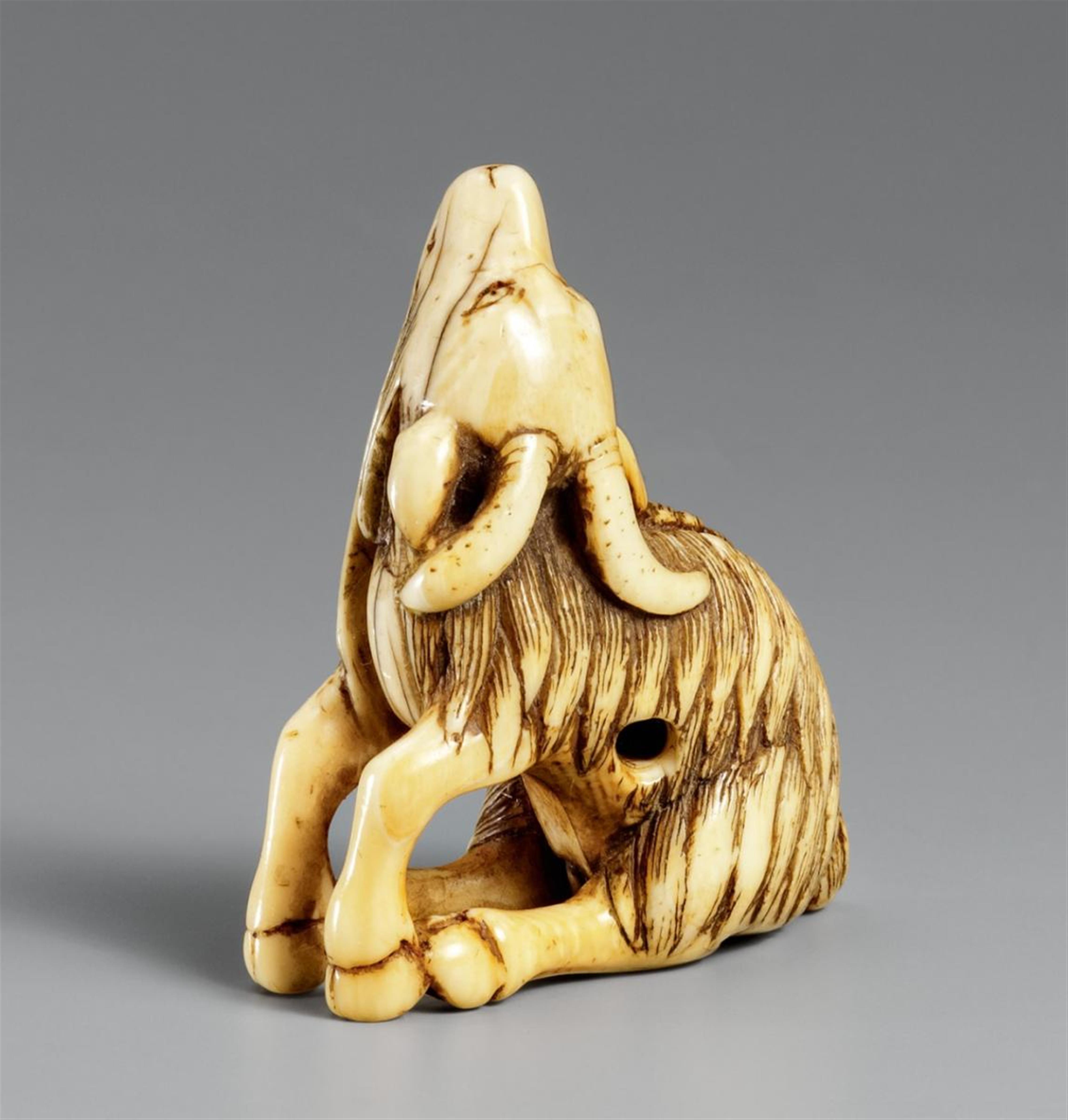 An ivory netsuke of a long-haired goat. Late 18th century - image-1