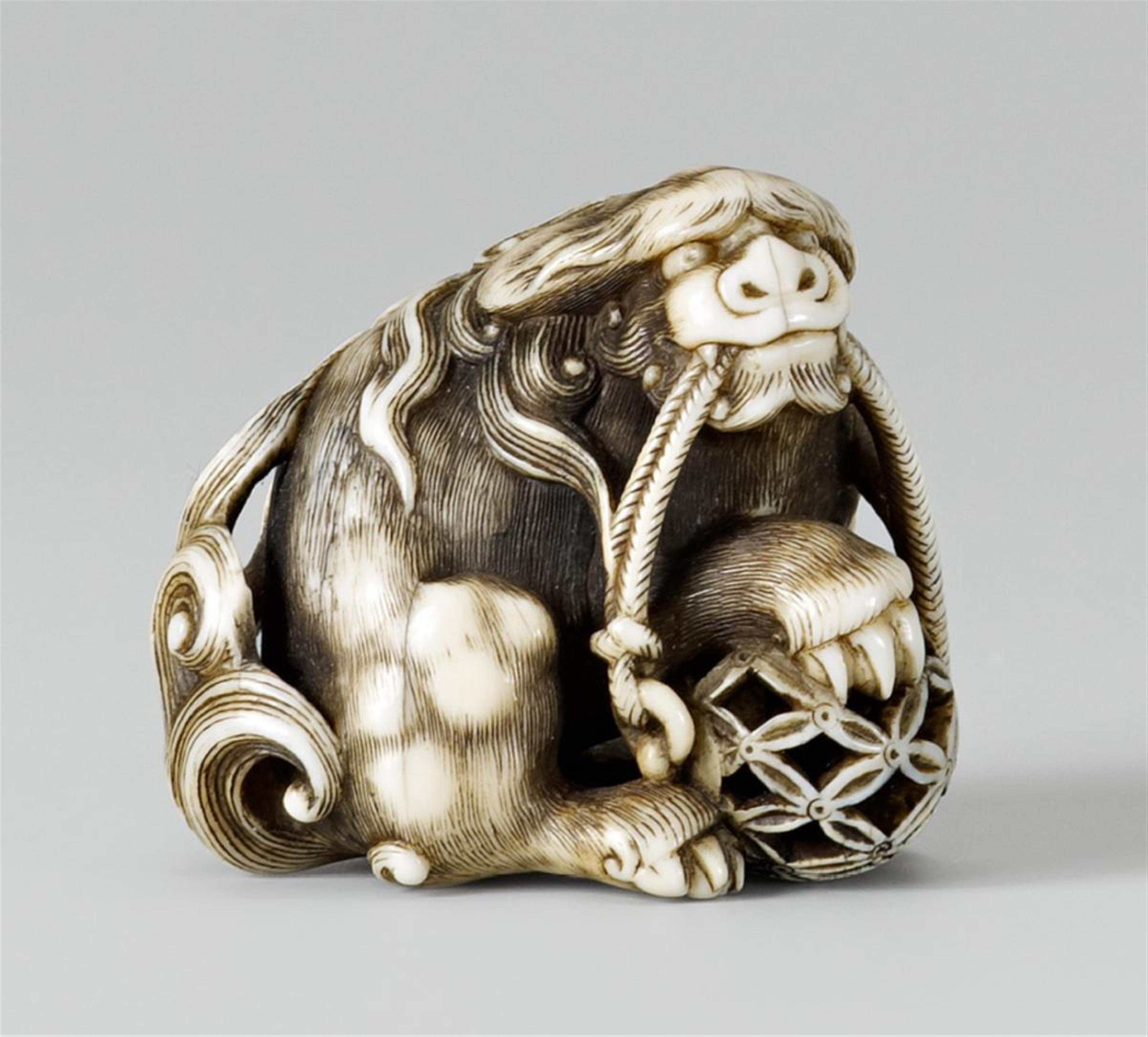 An Edo school ivory netsuke of a shishi with a brocade ball. First half/mid-19th century - image-1