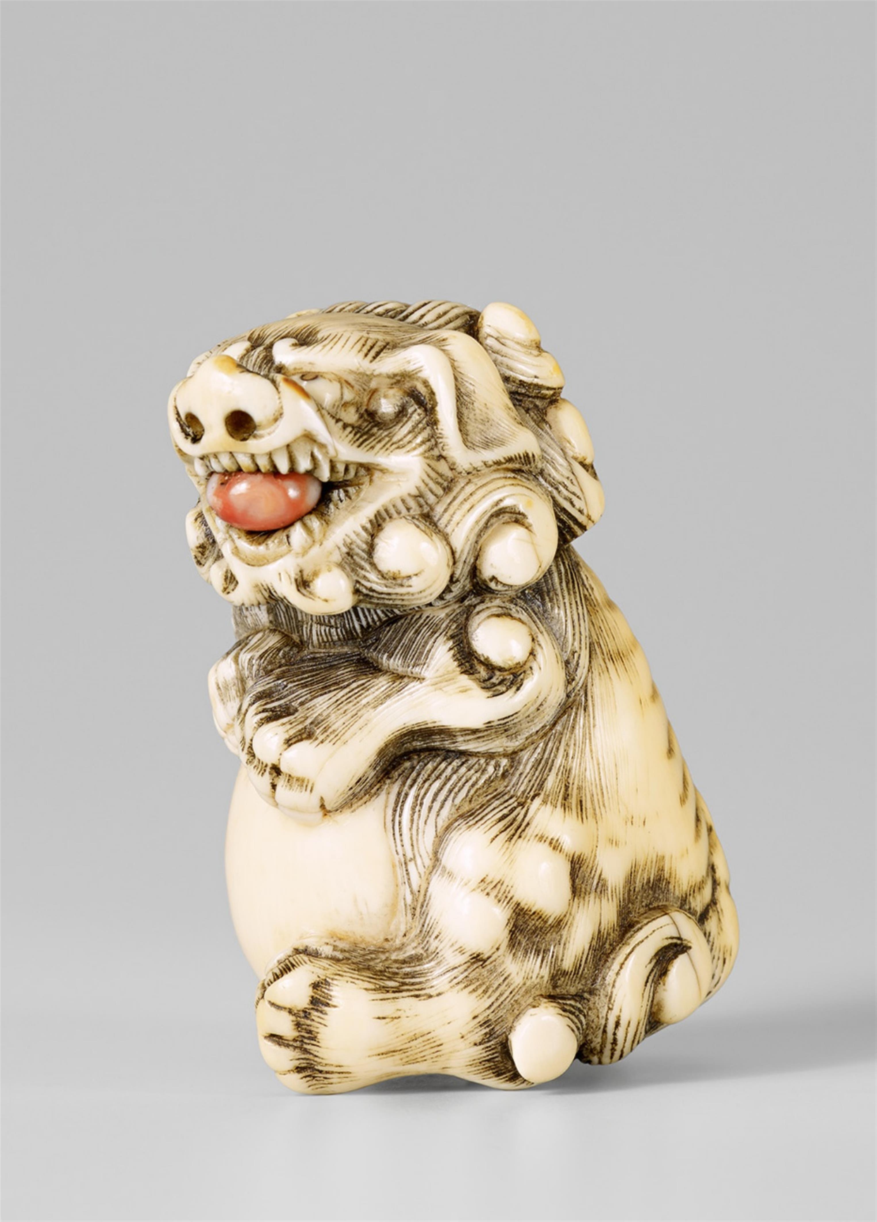 A large Kyoto school ivory netsuke of a shishi with a ball. Late 18th century - image-1