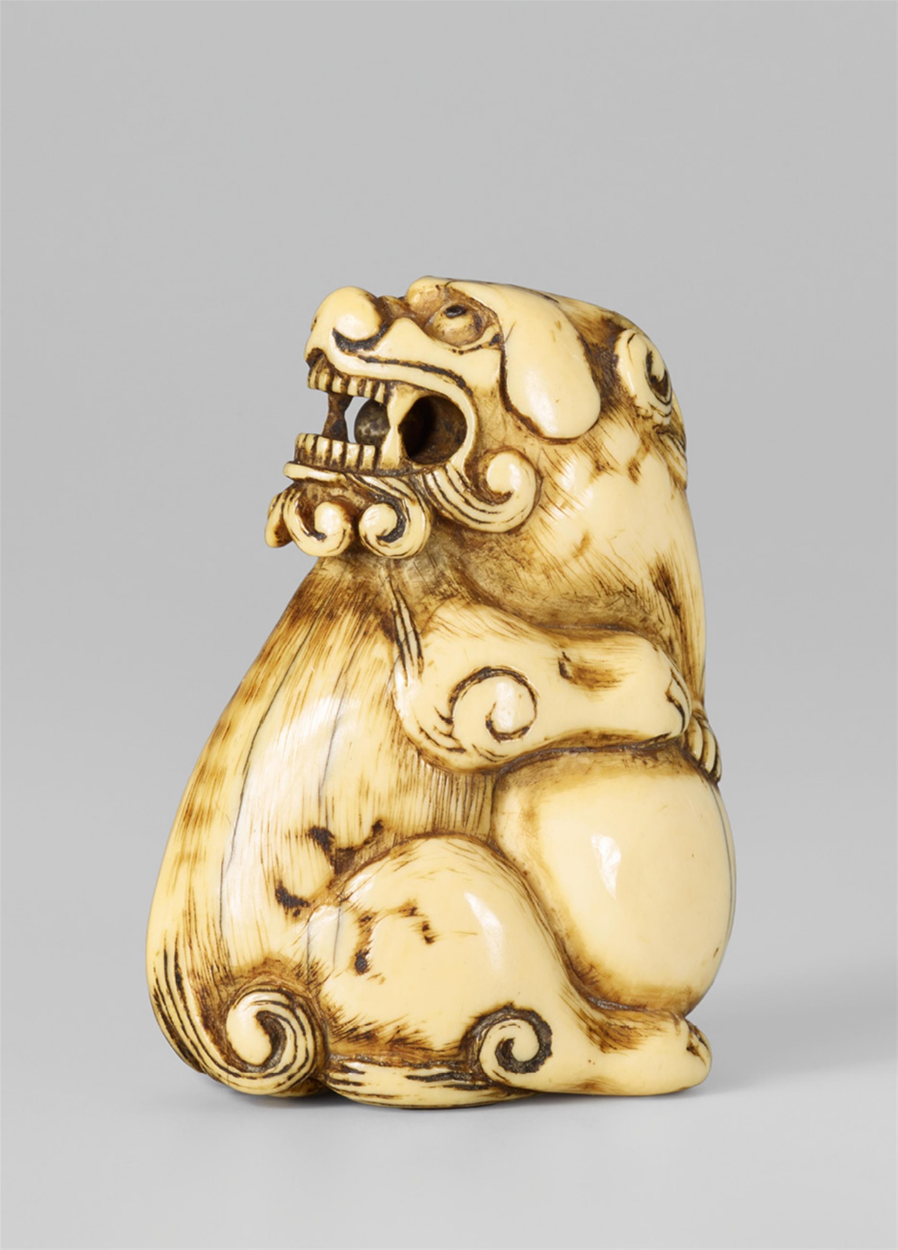 A large ivory netsuke of a shishi. Late 18th/early 19th century - image-1