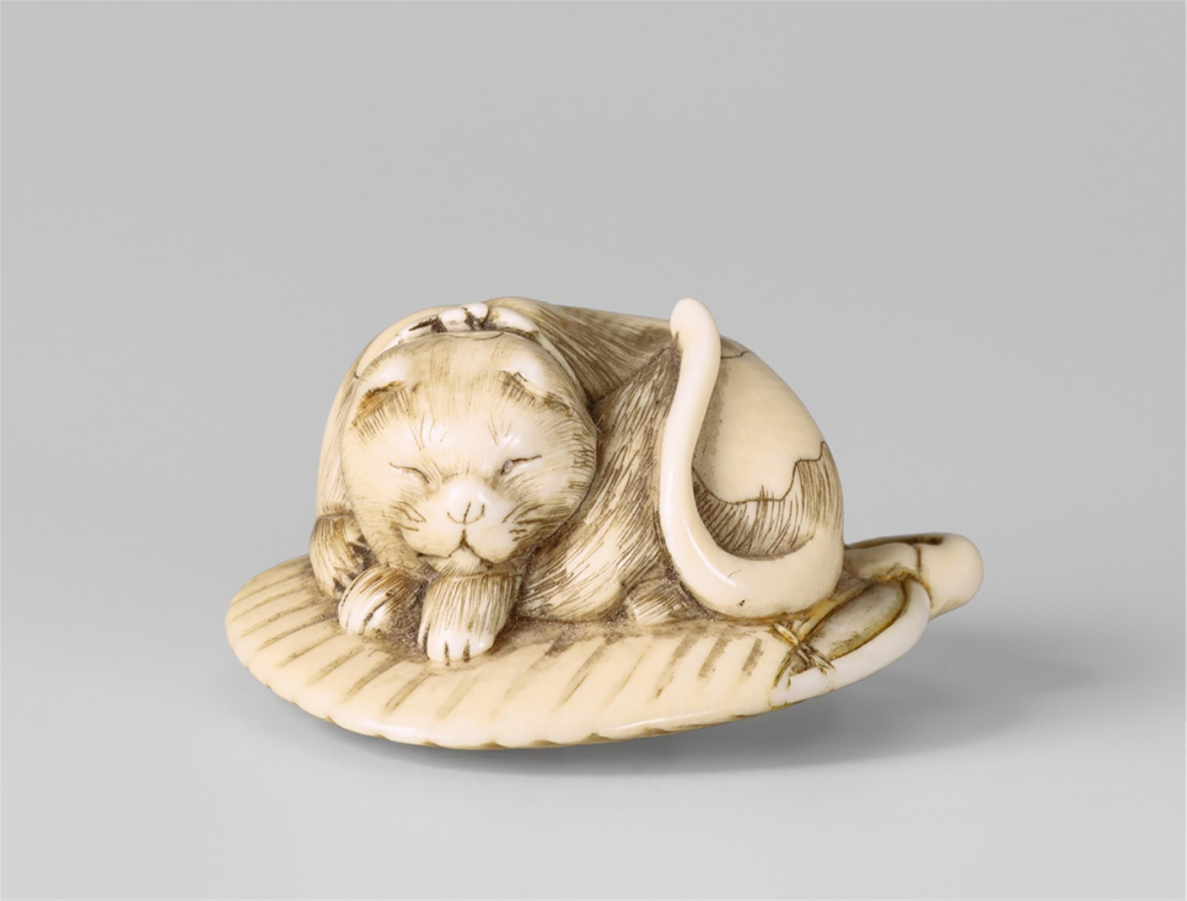 An ivory netsuke of a sleeping spotted cat. Early 19th century - image-1