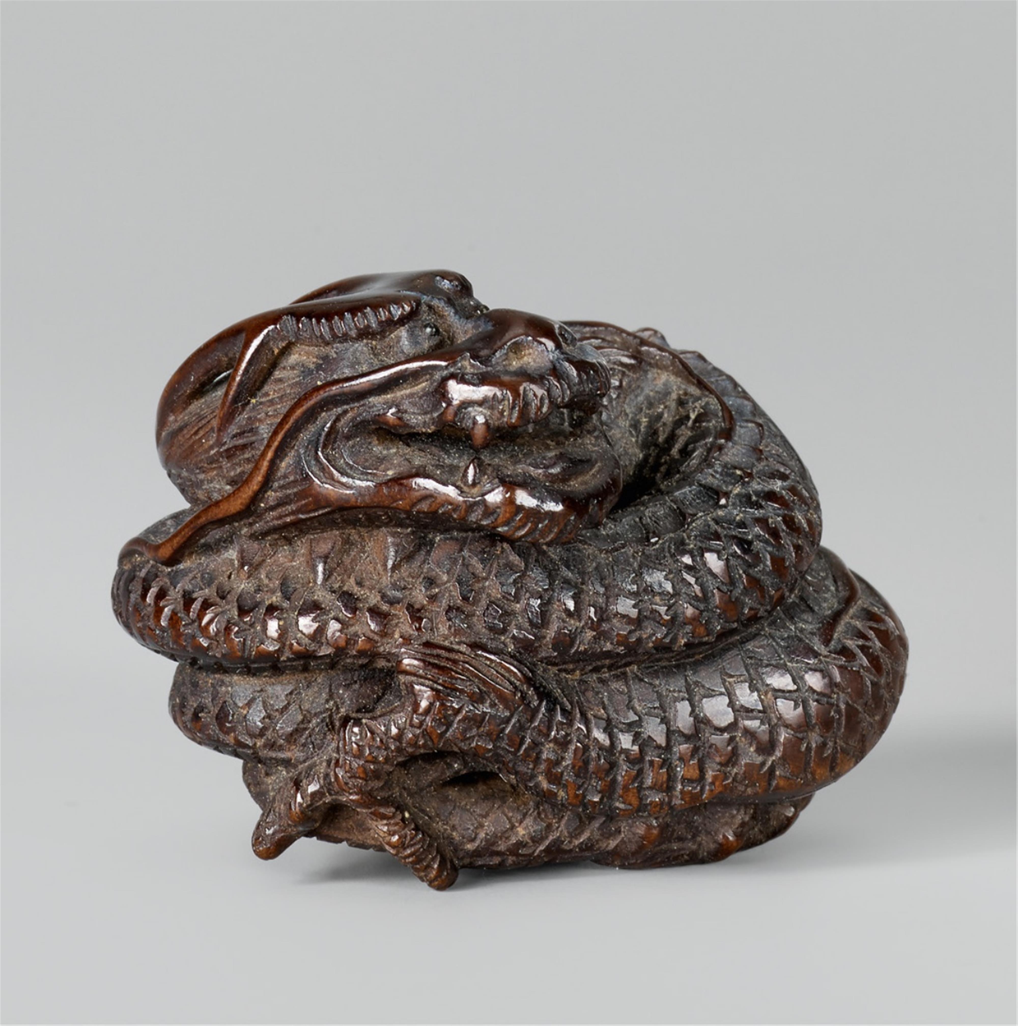 A wood netsuke of a coiled dragon. Mid-19th century - image-1