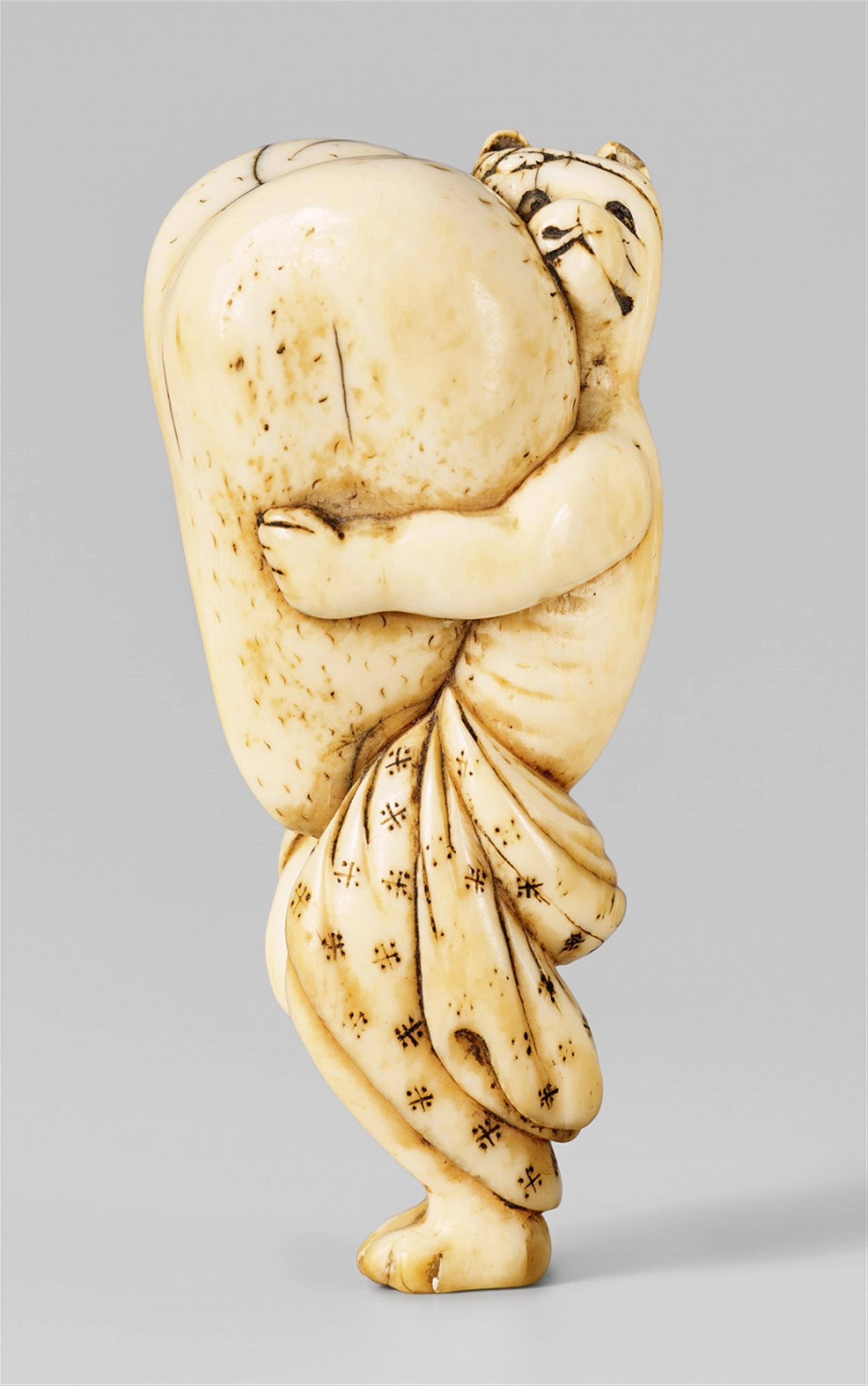 A large and amusing ivory netsuke of a tanuki. Early 19th century - image-1