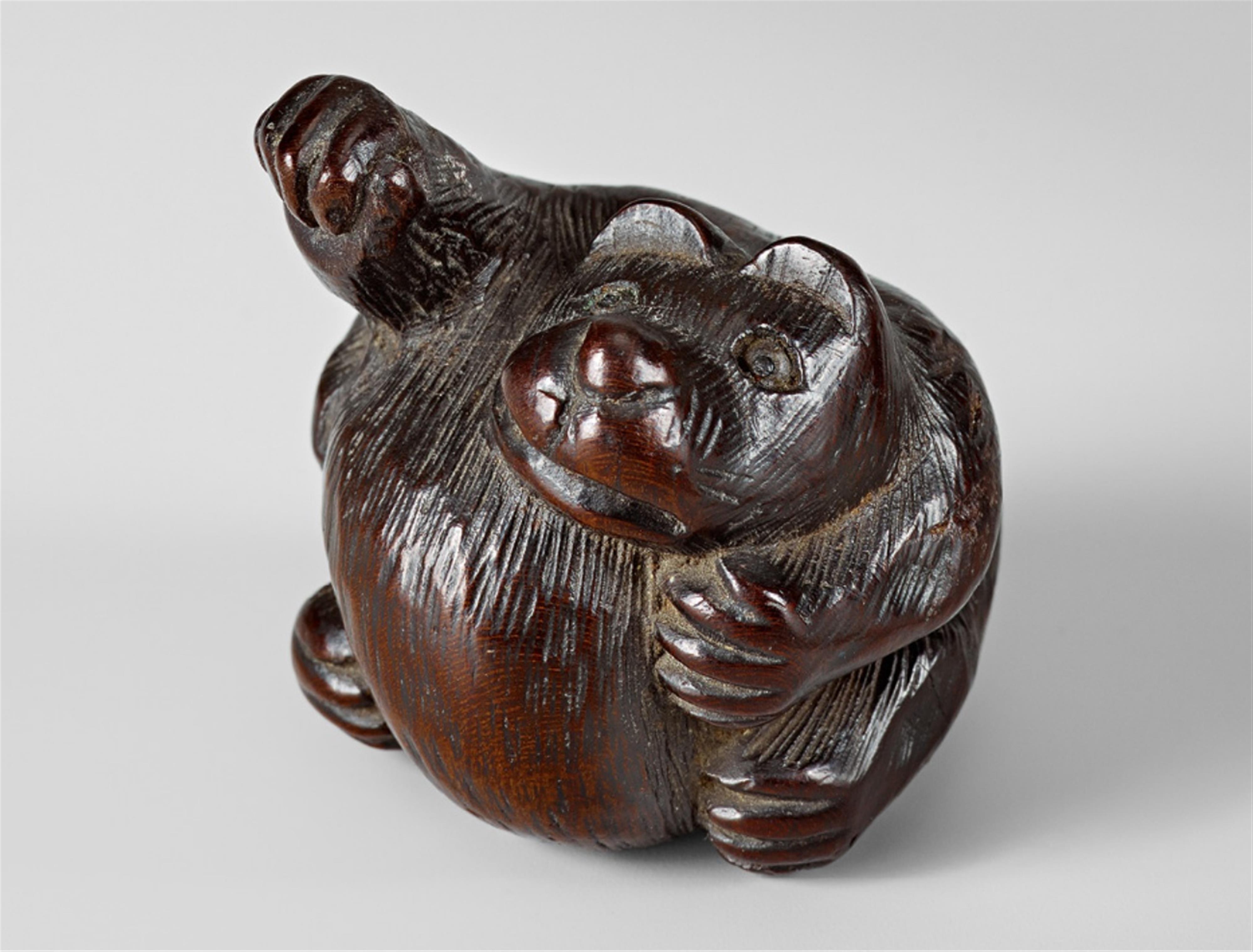 A Tsu school wood netsuke of a tanuki hara tsutsumi. 19th century - image-1