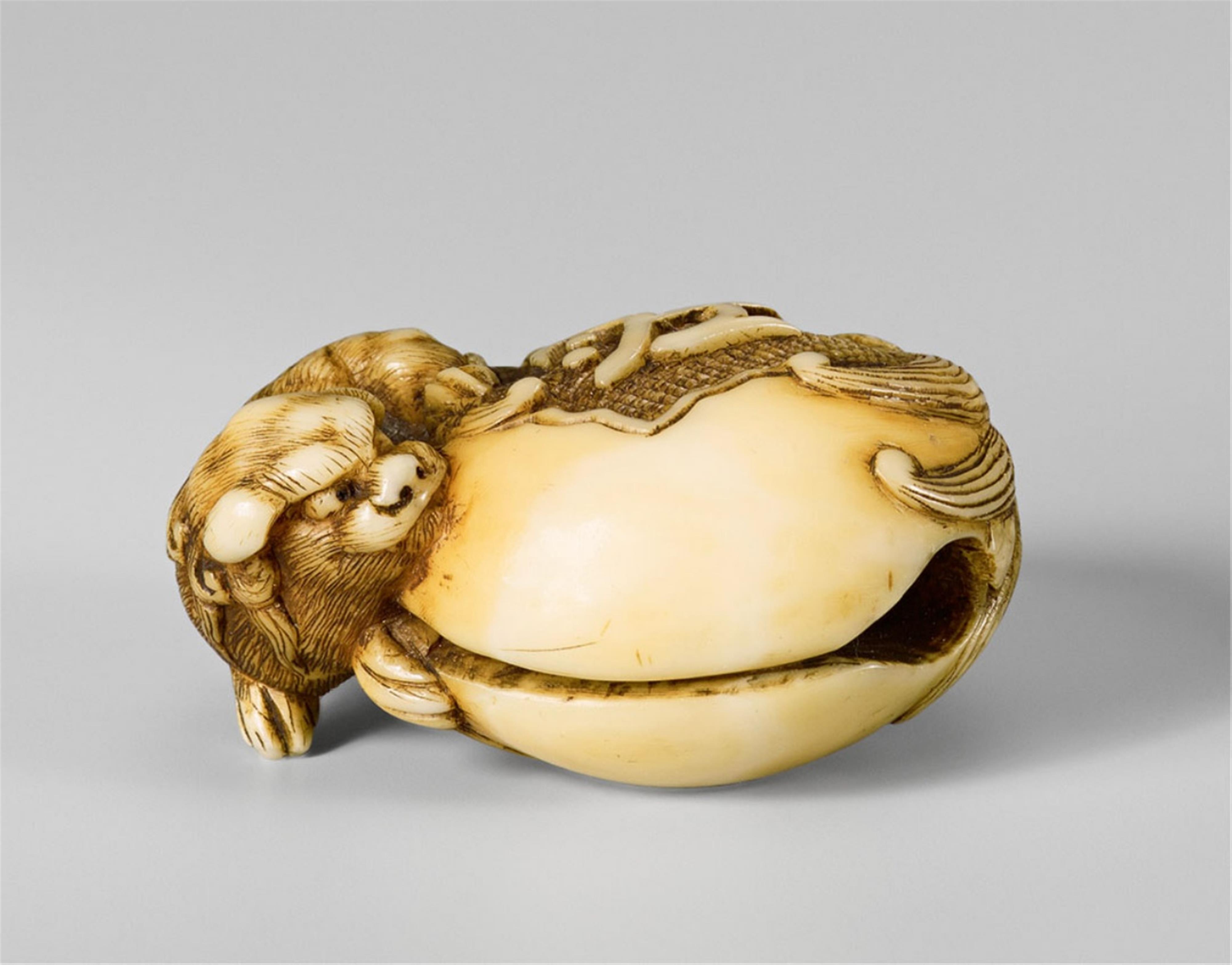 A walrus tusk netsuke of a shishi next to a mokugyo. Second half 19th century - image-1