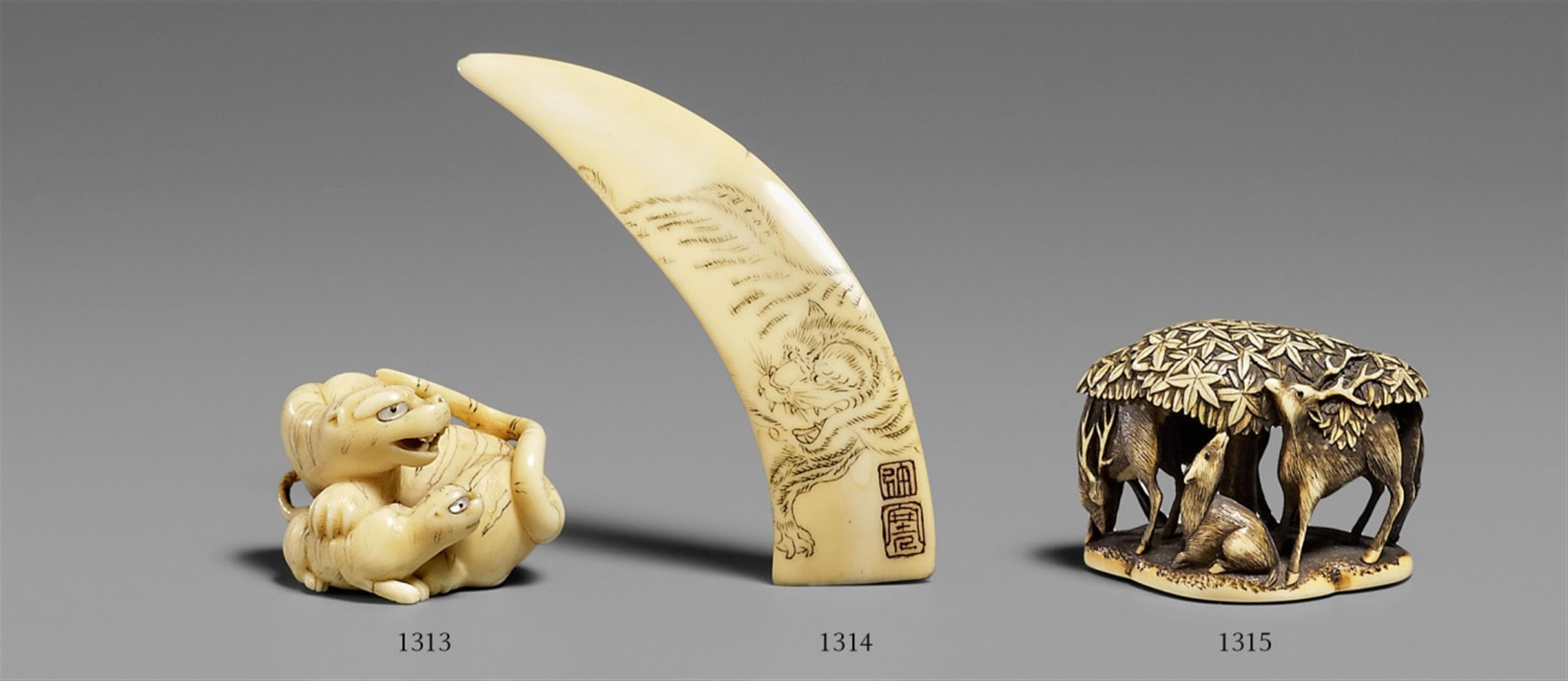 A boar’s tusk. Late 19th century - image-1