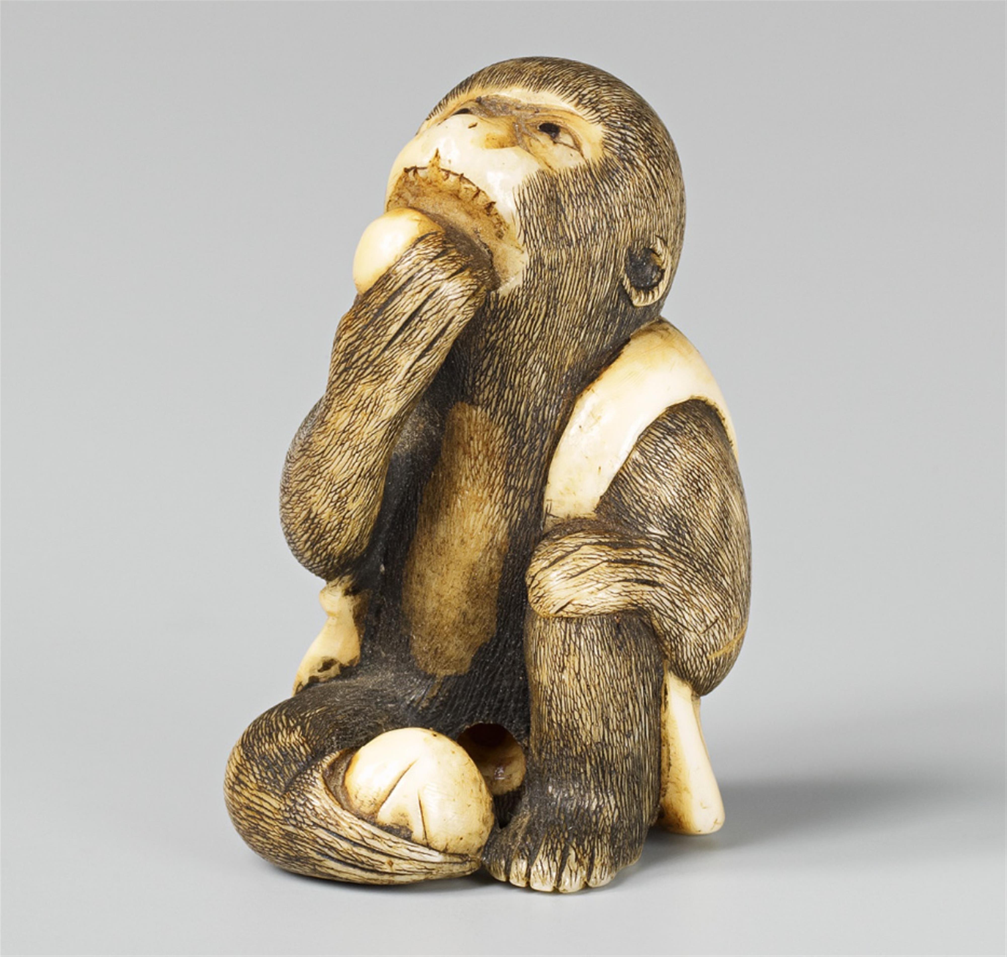 A small ivory netsuke of a monkey with fruits. Late 19th century - image-1