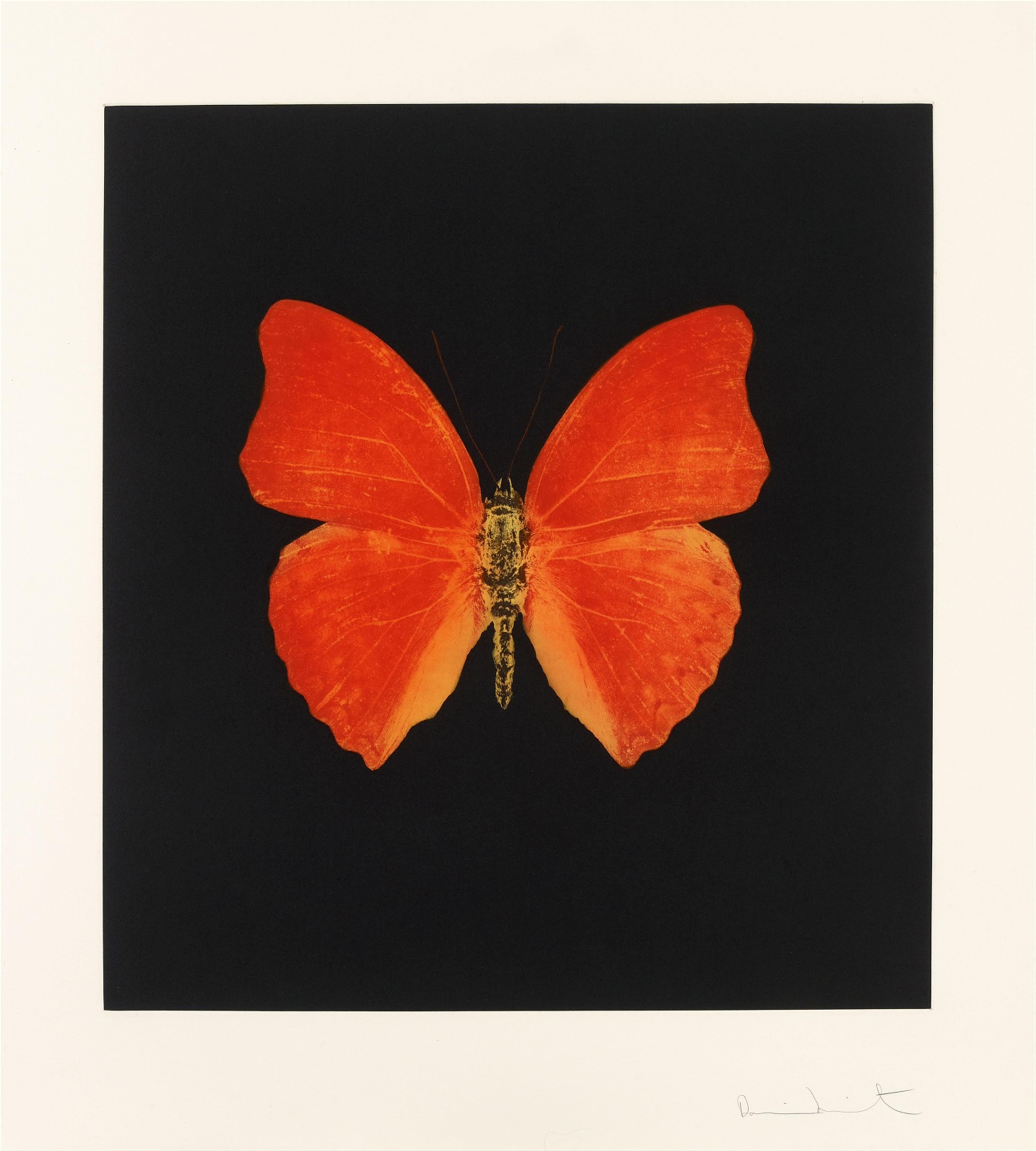 Damien Hirst - Aus: Memento - image-1