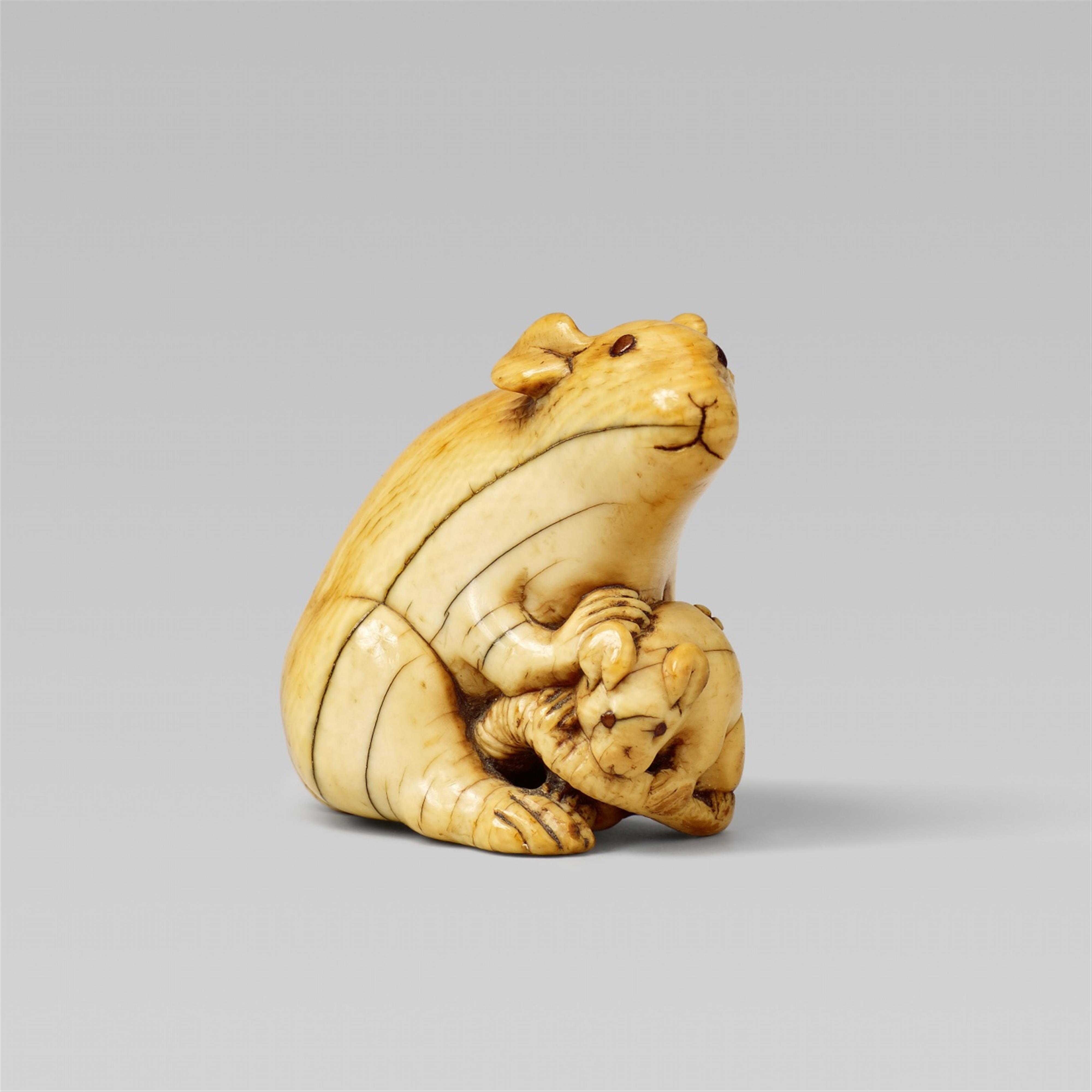 An ivory netsuke of a rat and young. Early 19th century - image-1