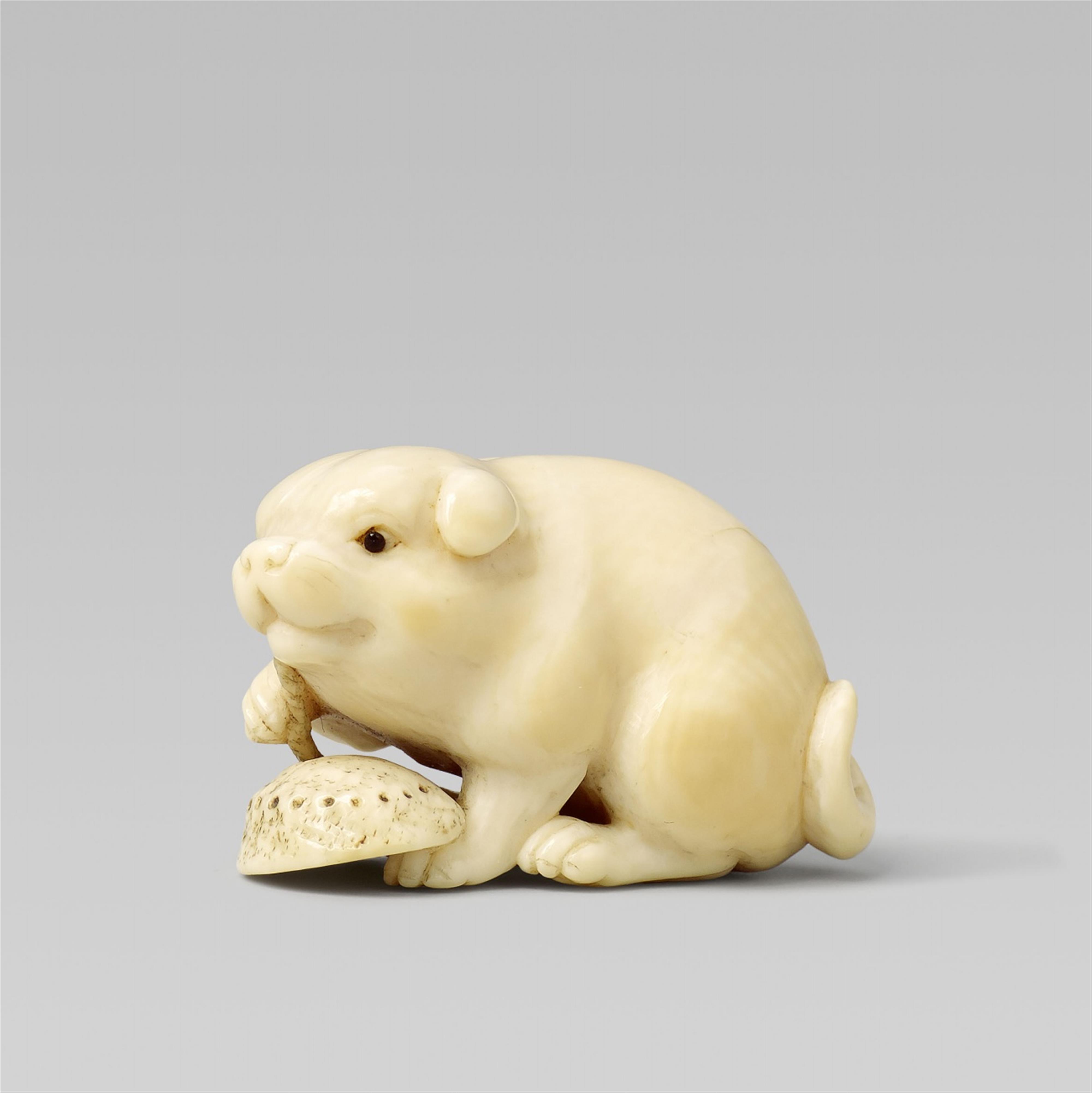 A Kyoto school ivory netsuke of a puppy, by Okatori. Early 19th century - image-1