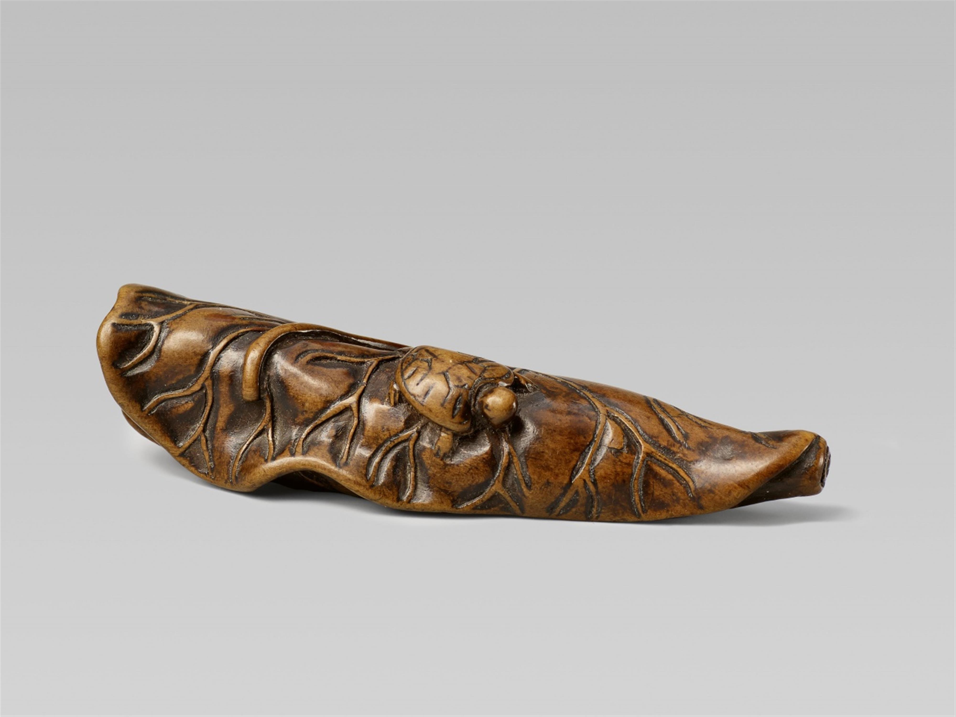 A wood netsuke of a tortoise. 19th century - image-1