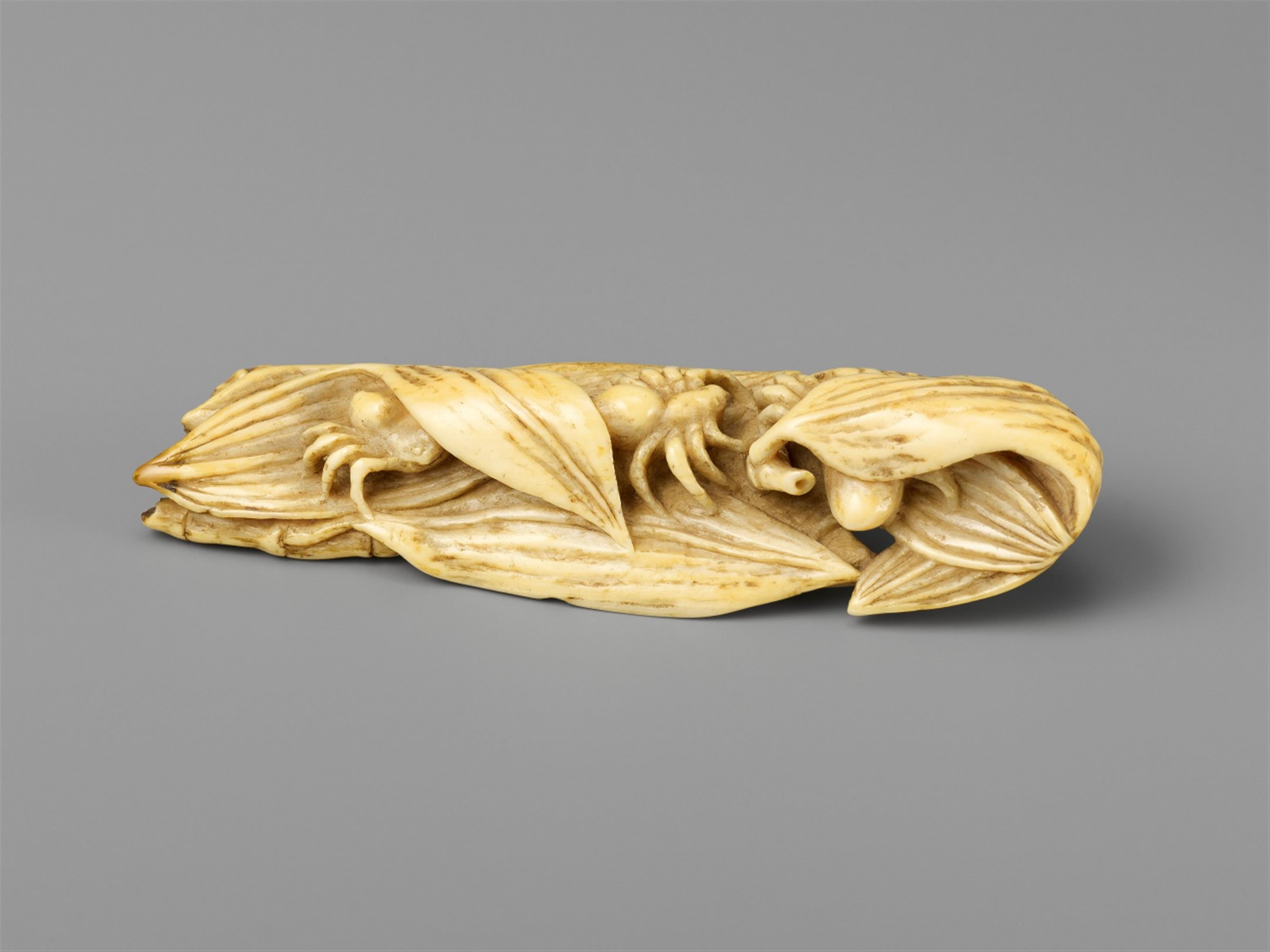 An ivory netsuke of three spiders. 19th century - image-1