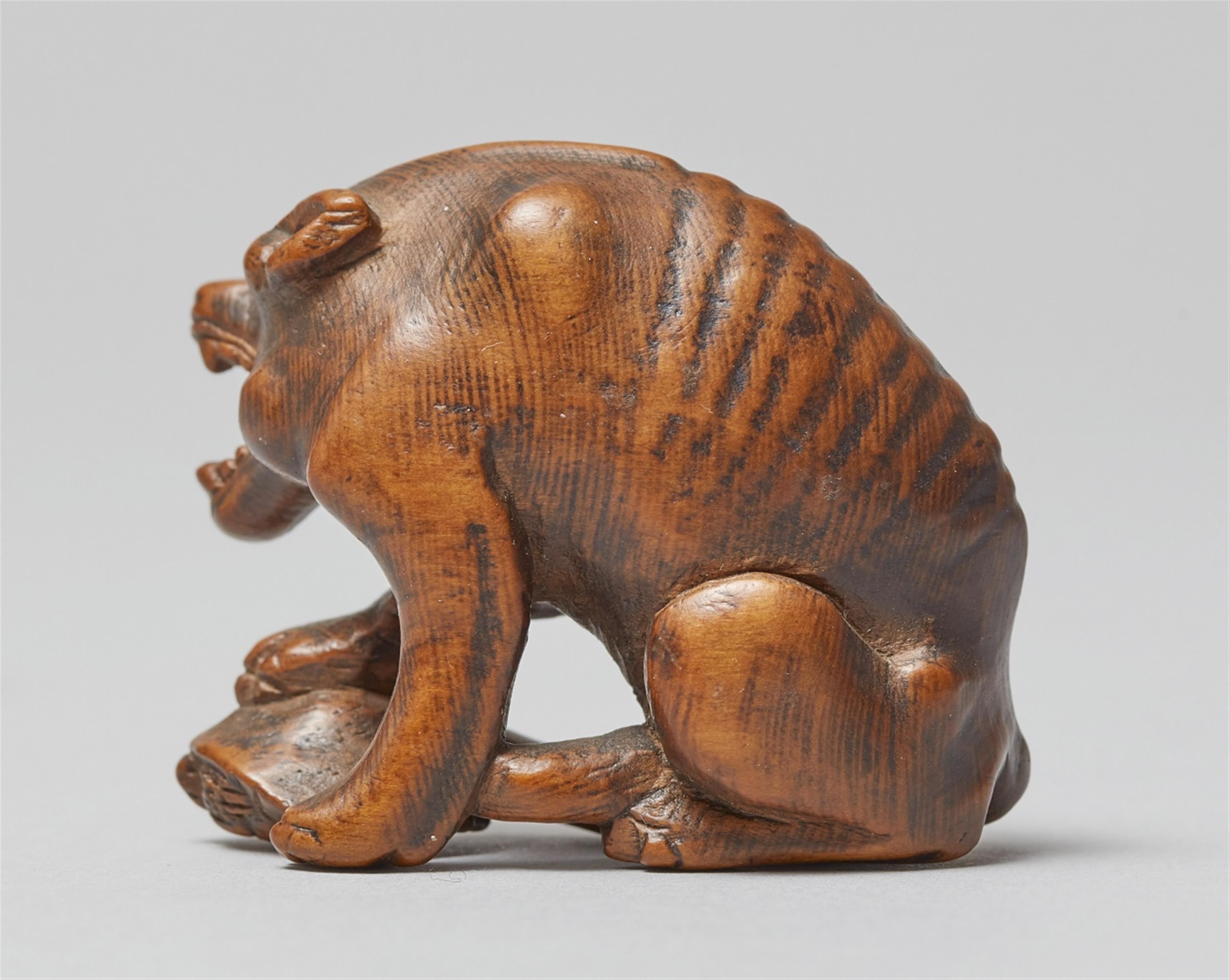 A large boxwood netsuke of a hungry wolf. Early 19th century - image-2