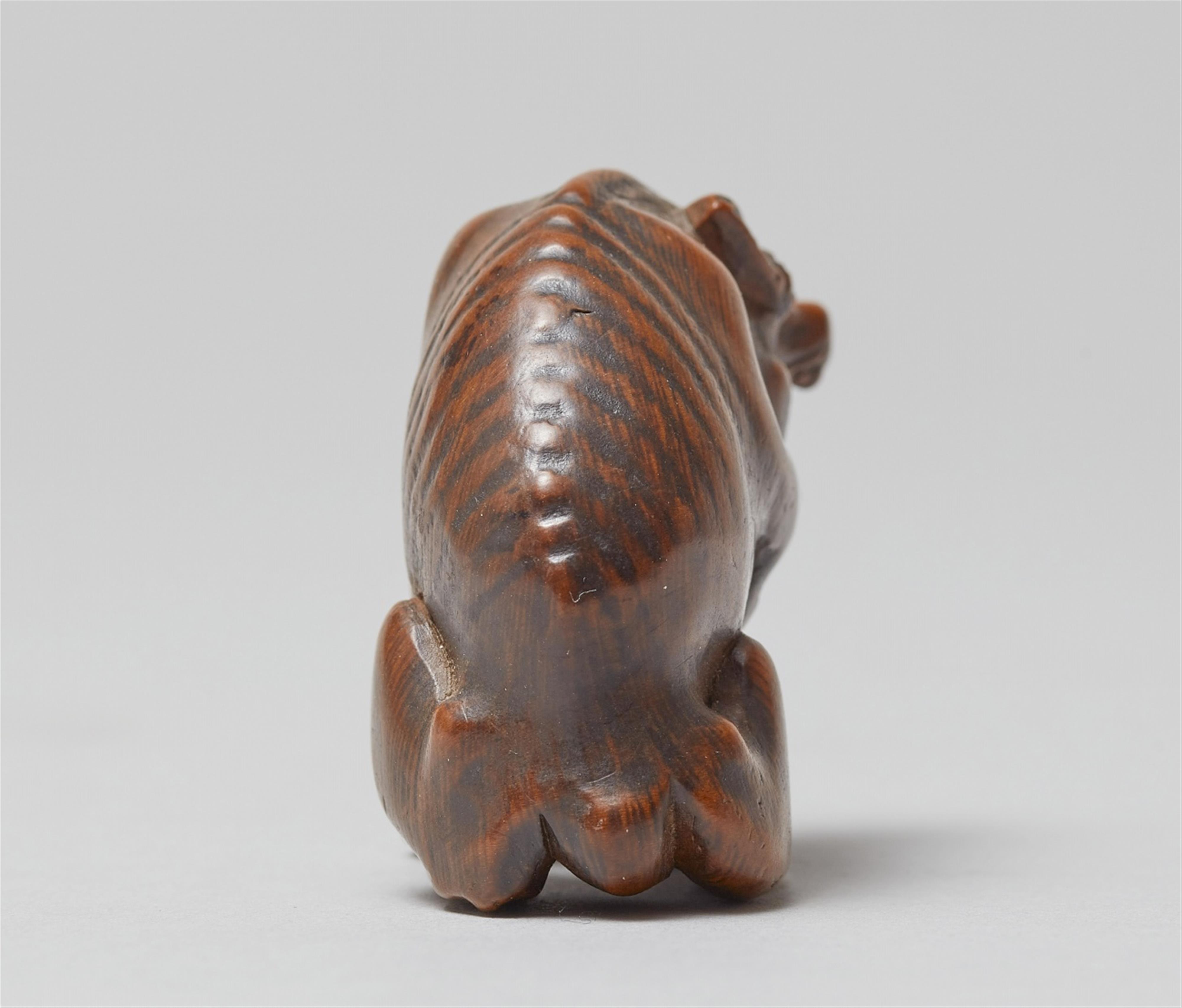 A large boxwood netsuke of a hungry wolf. Early 19th century - image-3