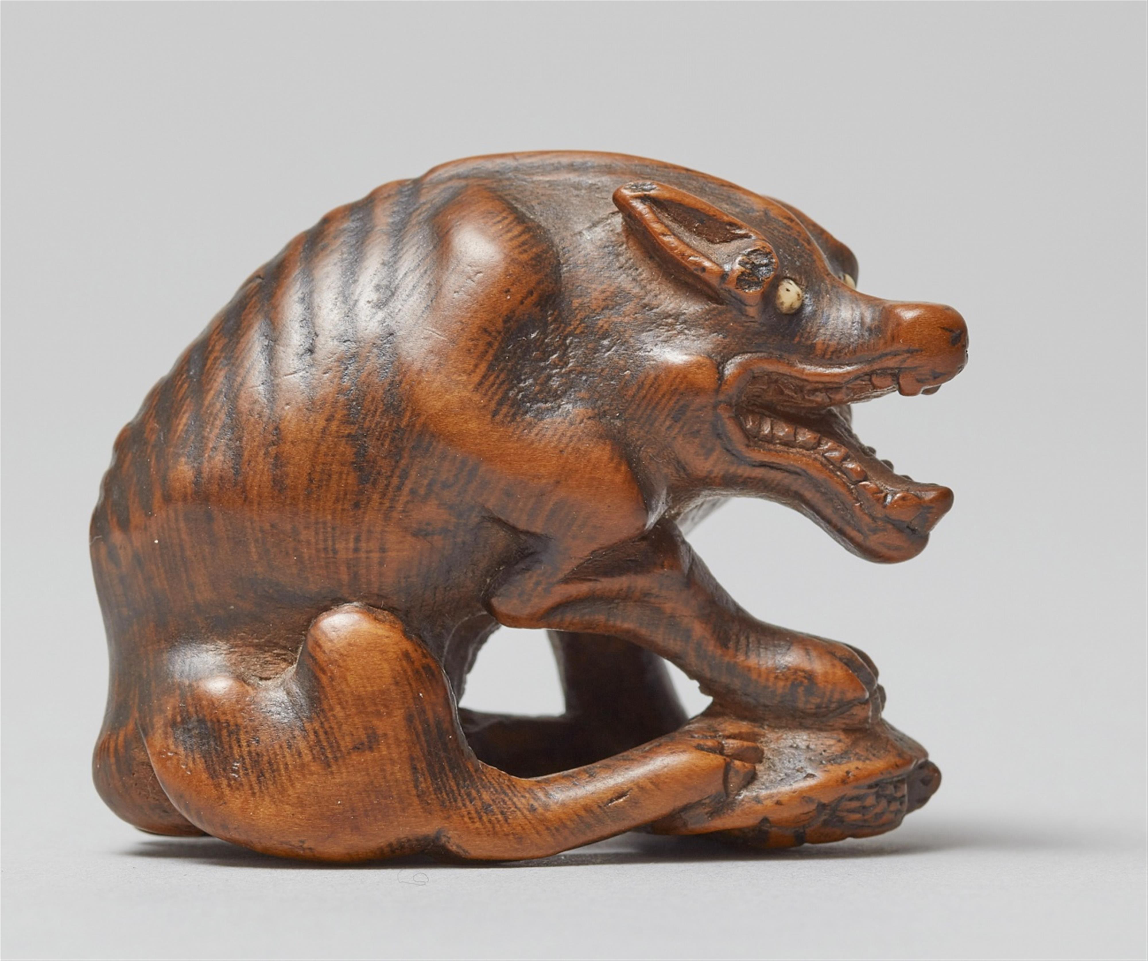 A large boxwood netsuke of a hungry wolf. Early 19th century - image-4