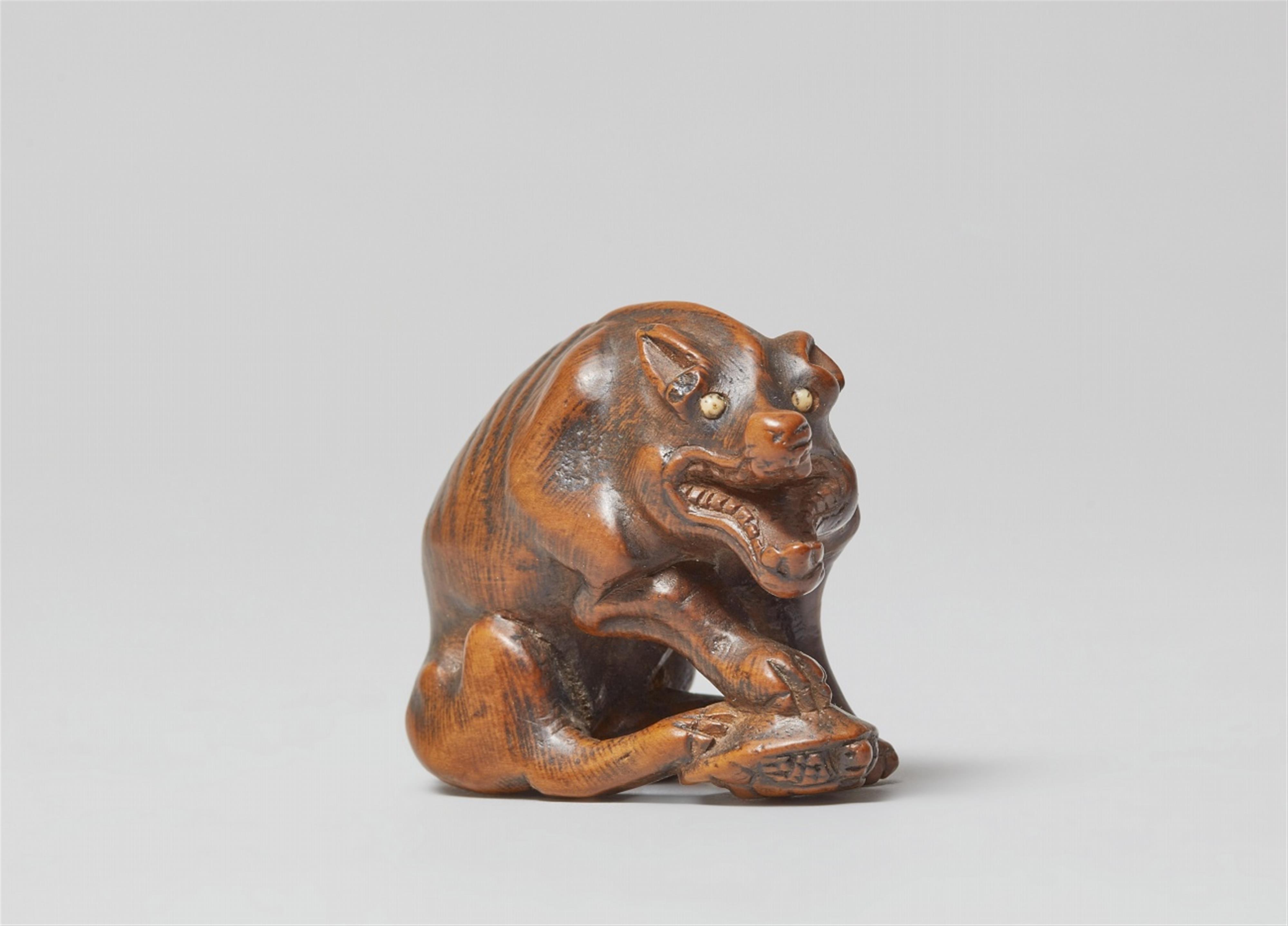 A large boxwood netsuke of a hungry wolf. Early 19th century - image-1