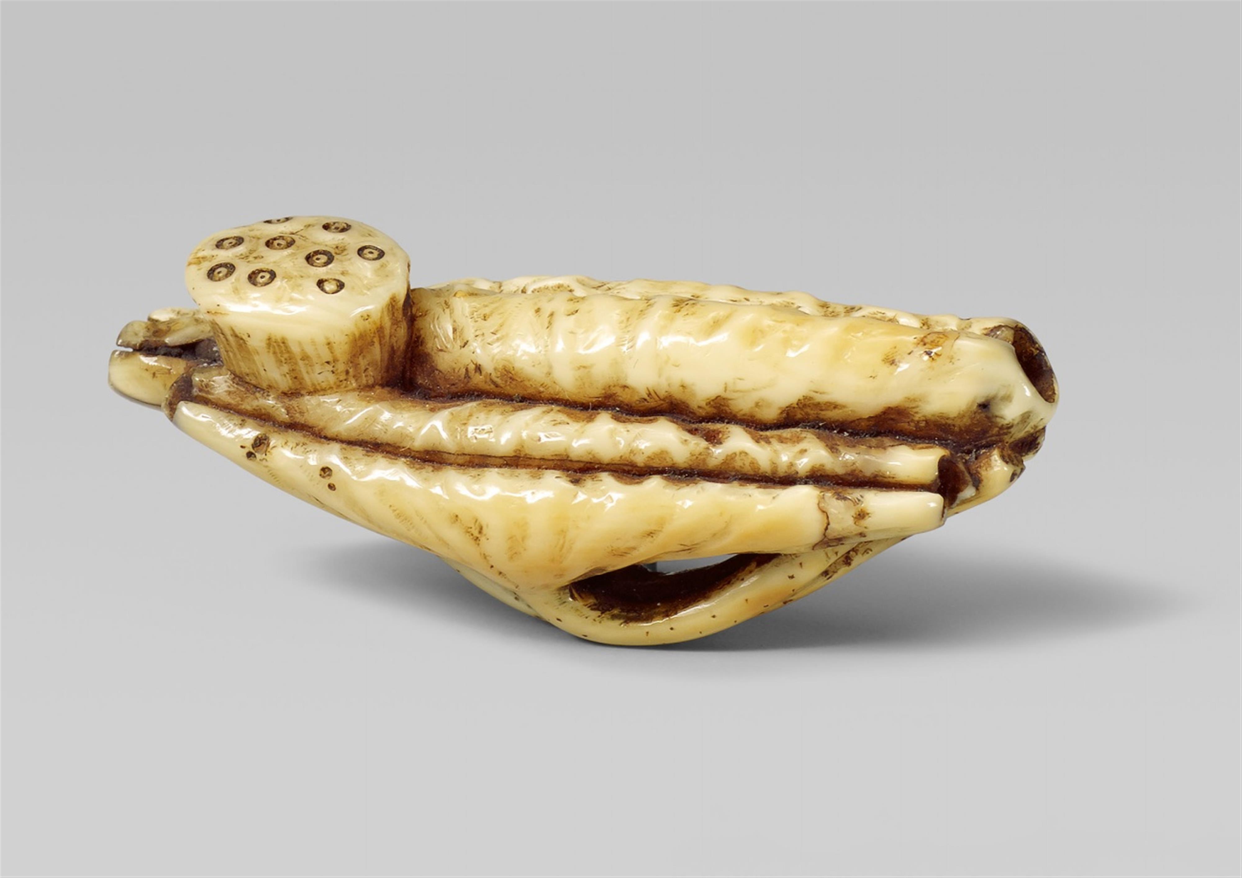 A marine ivory netsuke of two lotus leaves and a lotus pod. Second half 19th century - image-1