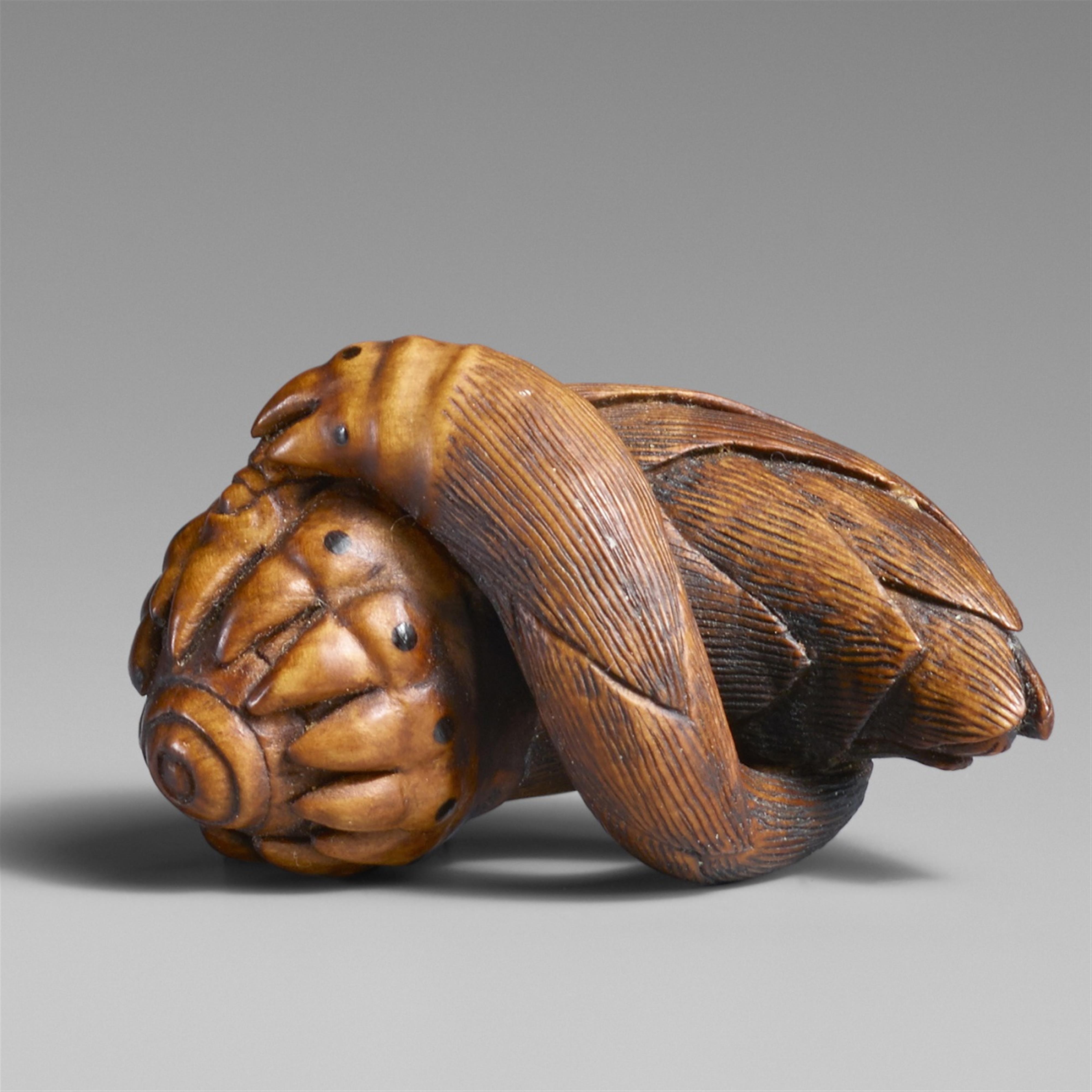 A boxwood netsuke of two bamboo shoots. Late 19th century - image-1