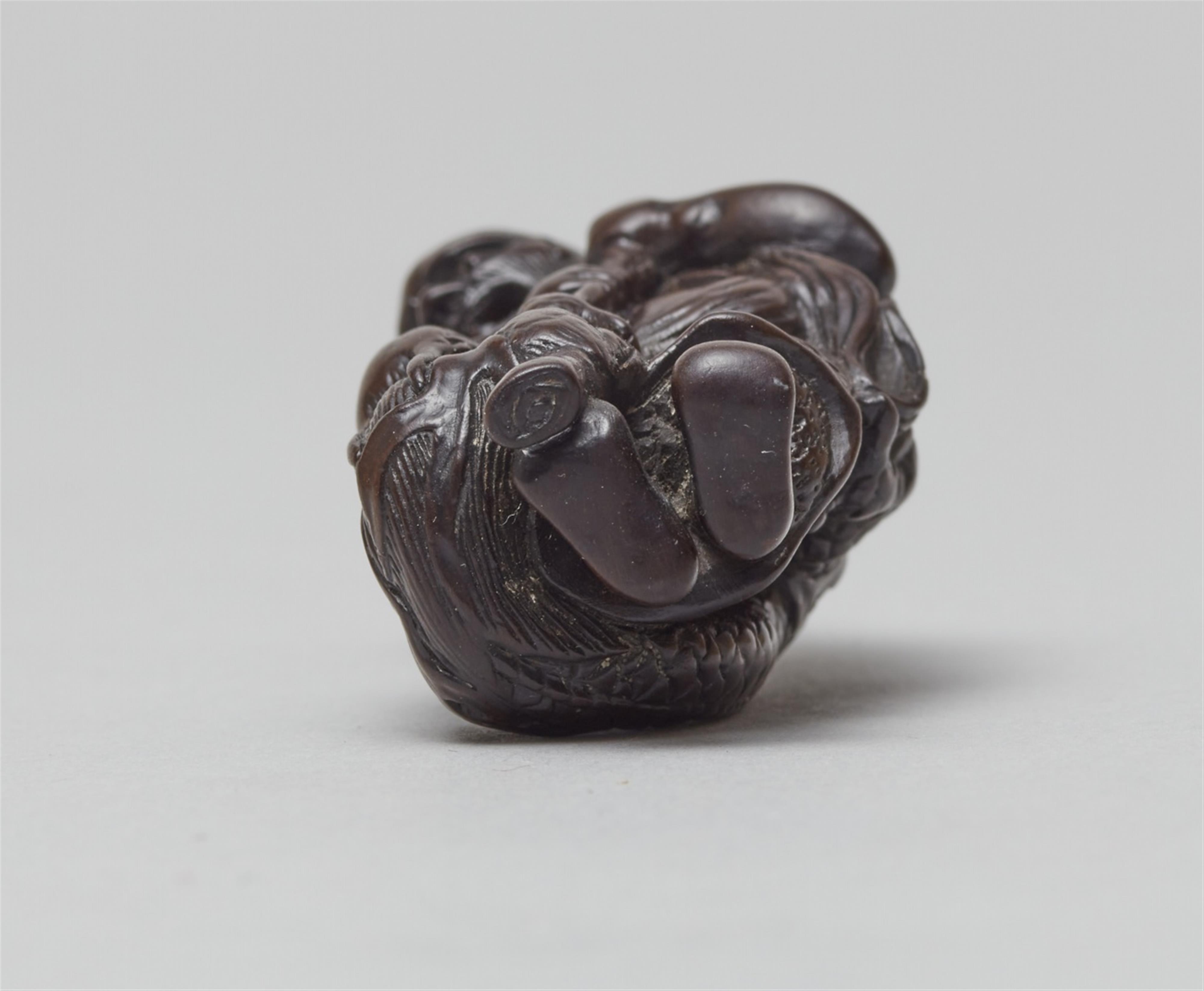 A wood netsuke of a sennin with a dragon. First half 19th century - image-5