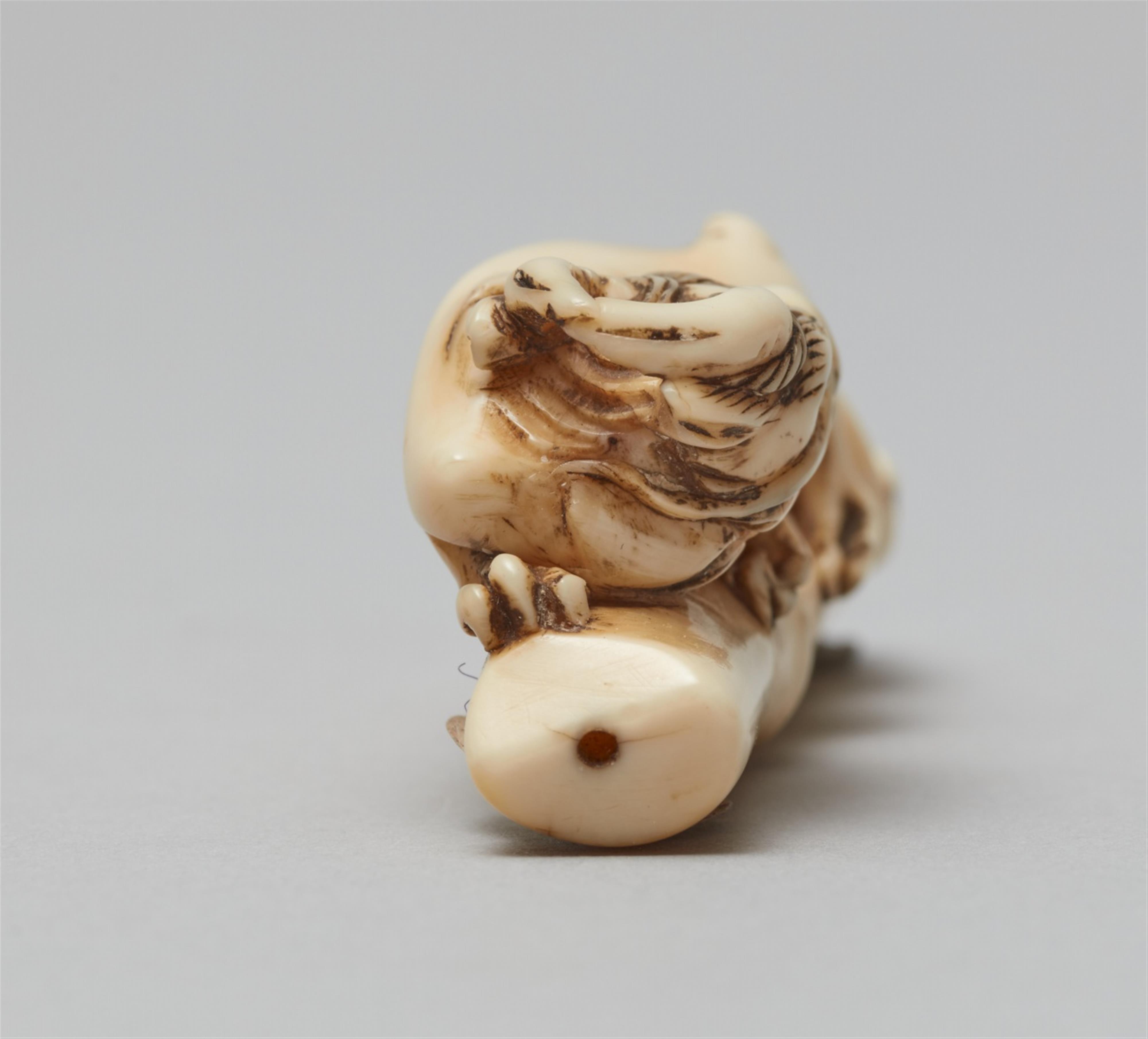 An unusual ivory netsuke of a two-horned amaryu. 18th century - image-2