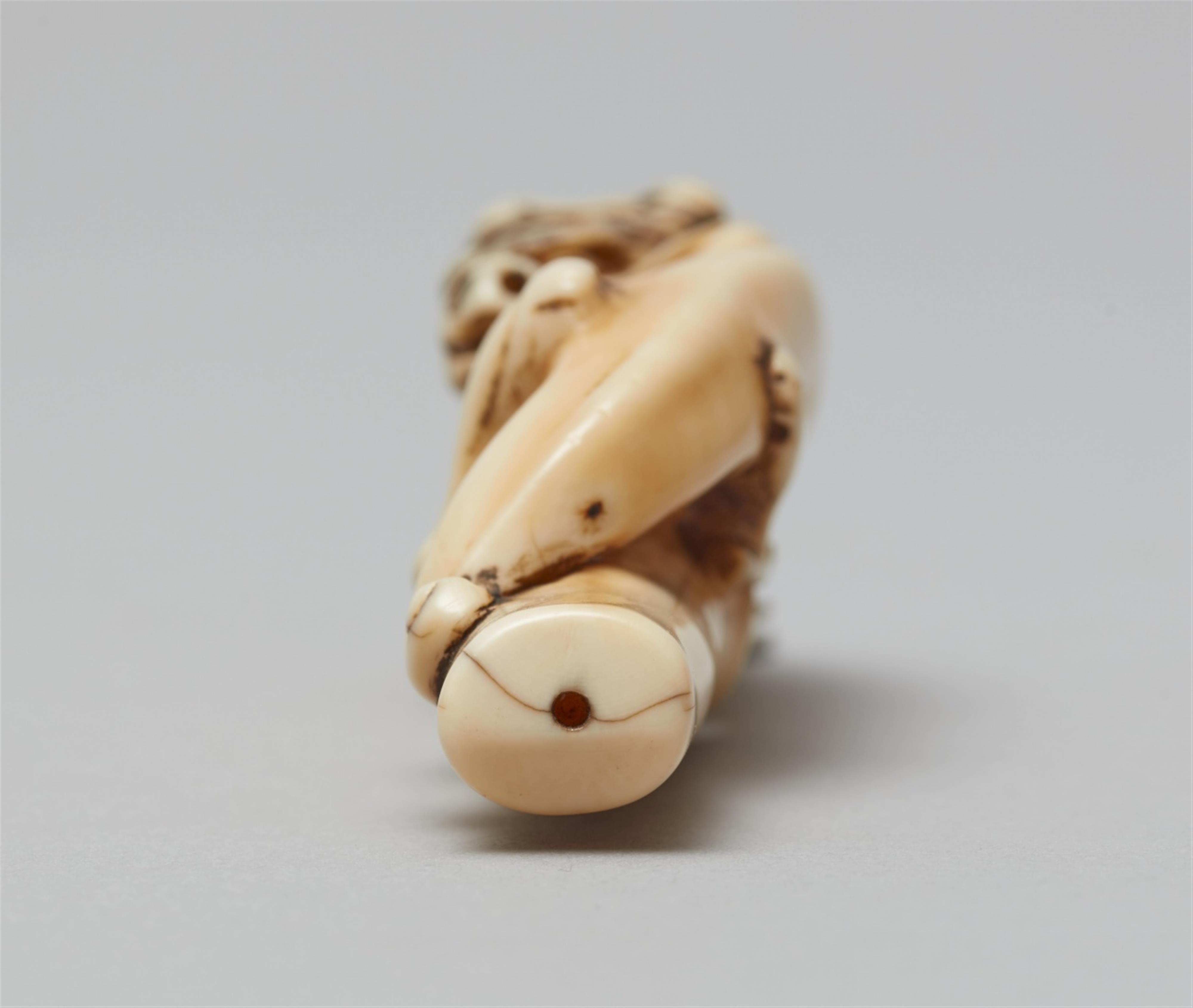 An unusual ivory netsuke of a two-horned amaryu. 18th century - image-3