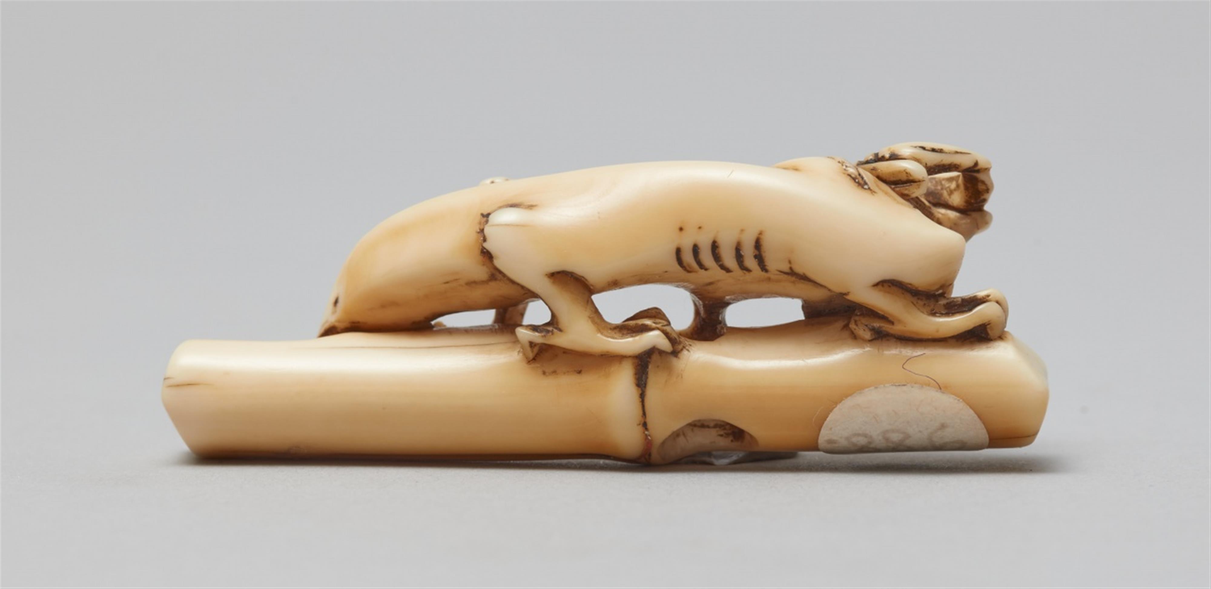 An unusual ivory netsuke of a two-horned amaryu. 18th century - image-4