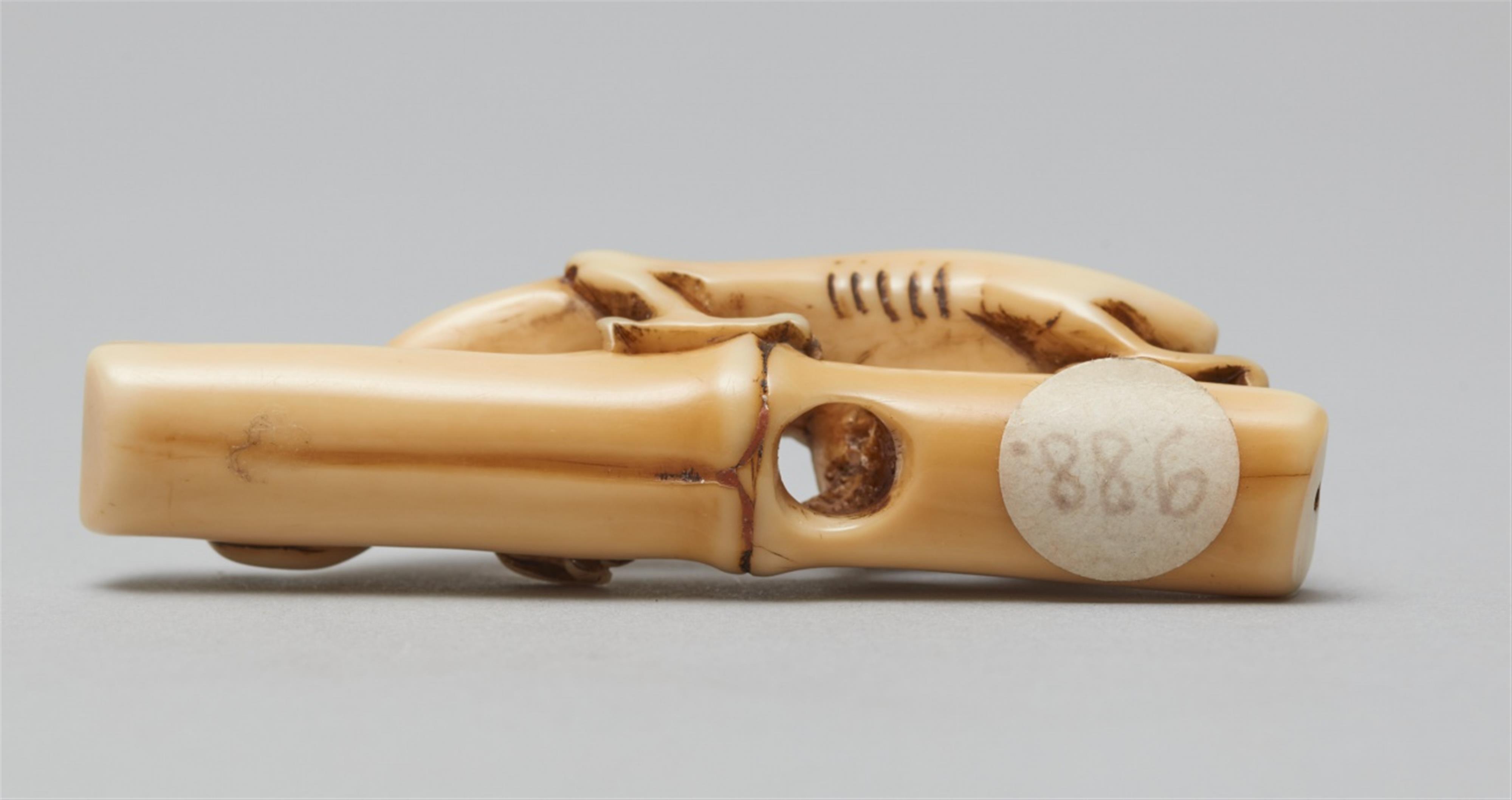 An unusual ivory netsuke of a two-horned amaryu. 18th century - image-5