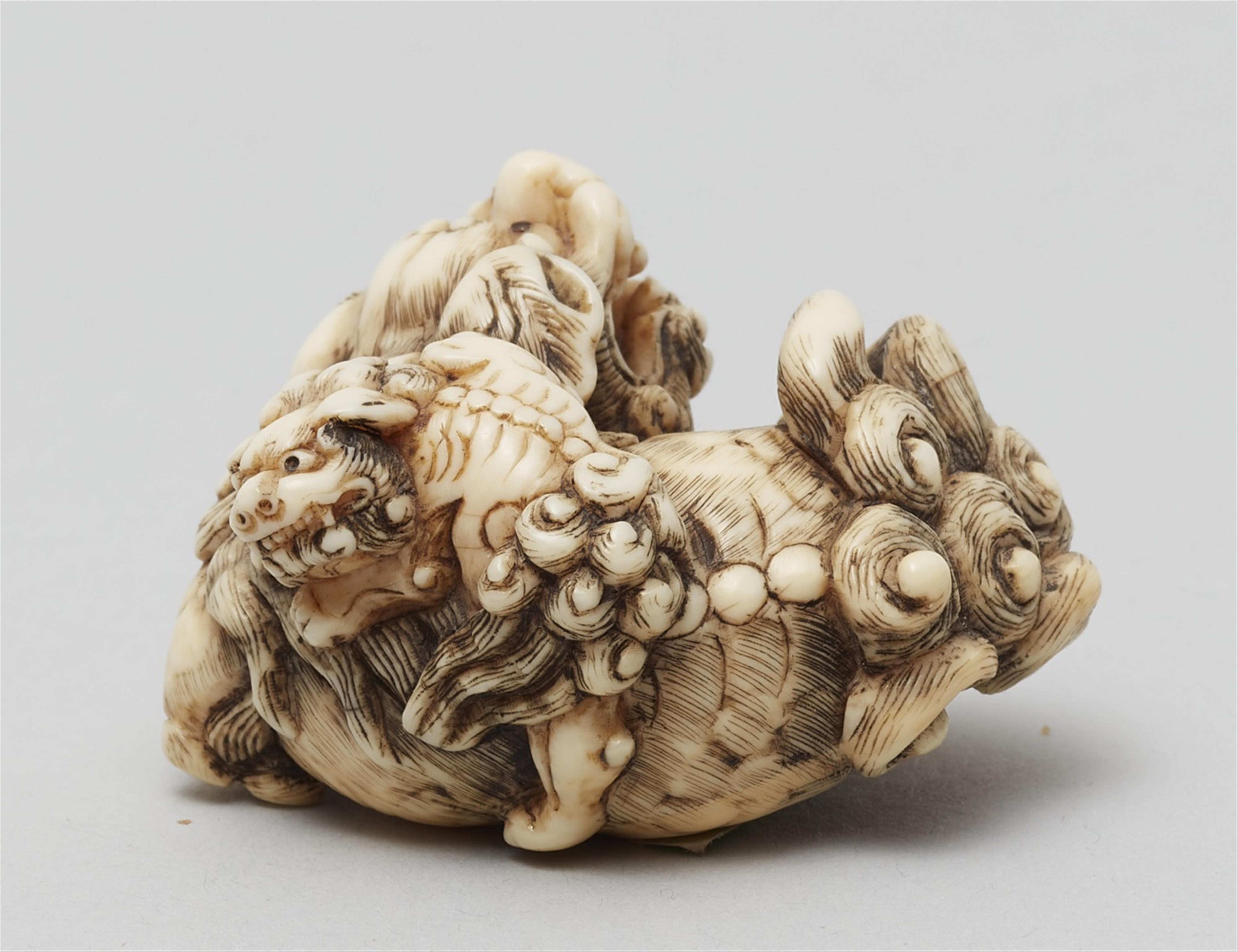 A very fine Kyoto school ivory netsuke of a lively shishi and cub. Early 19th century - image-3