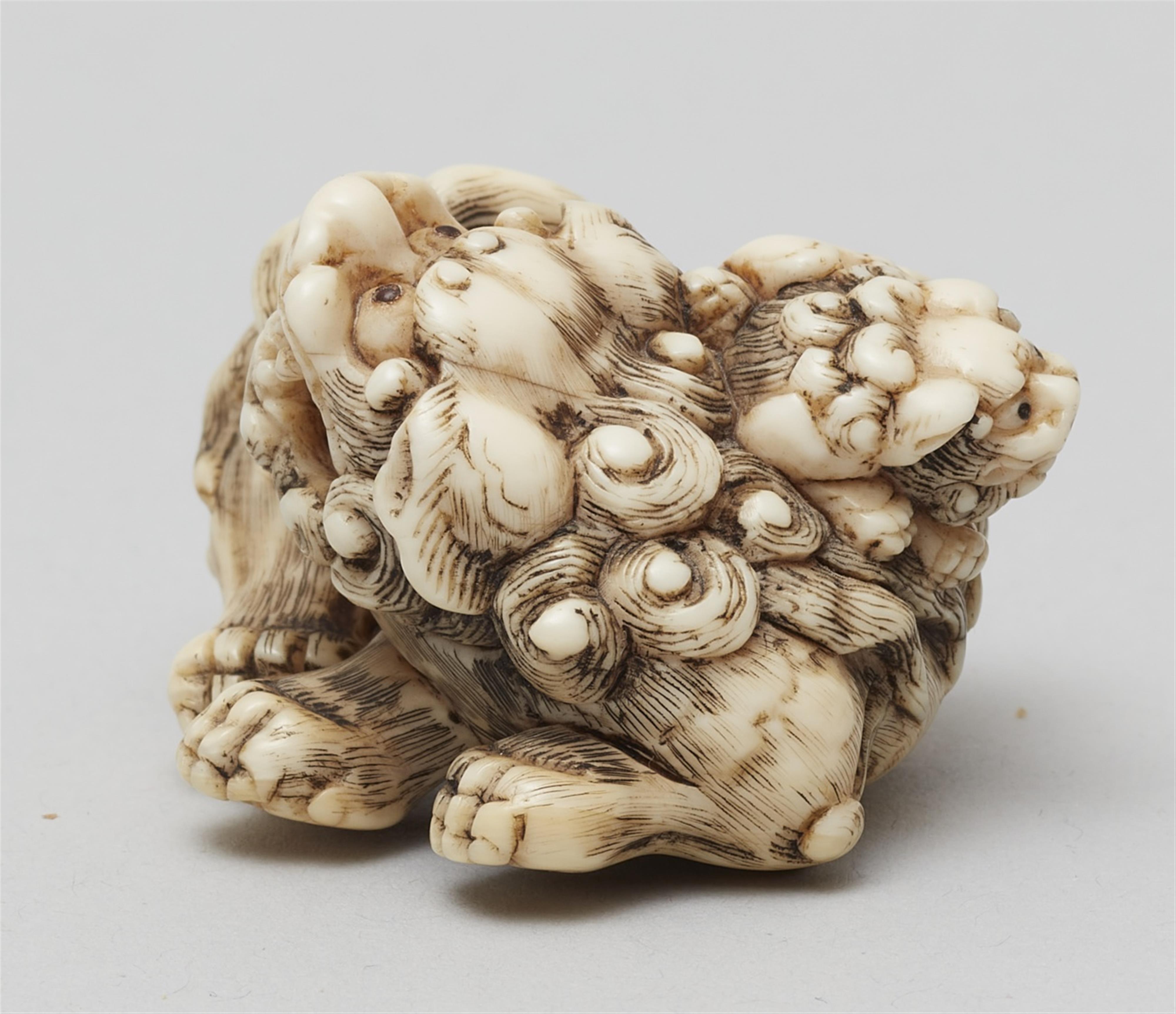 A very fine Kyoto school ivory netsuke of a lively shishi and cub. Early 19th century - image-4