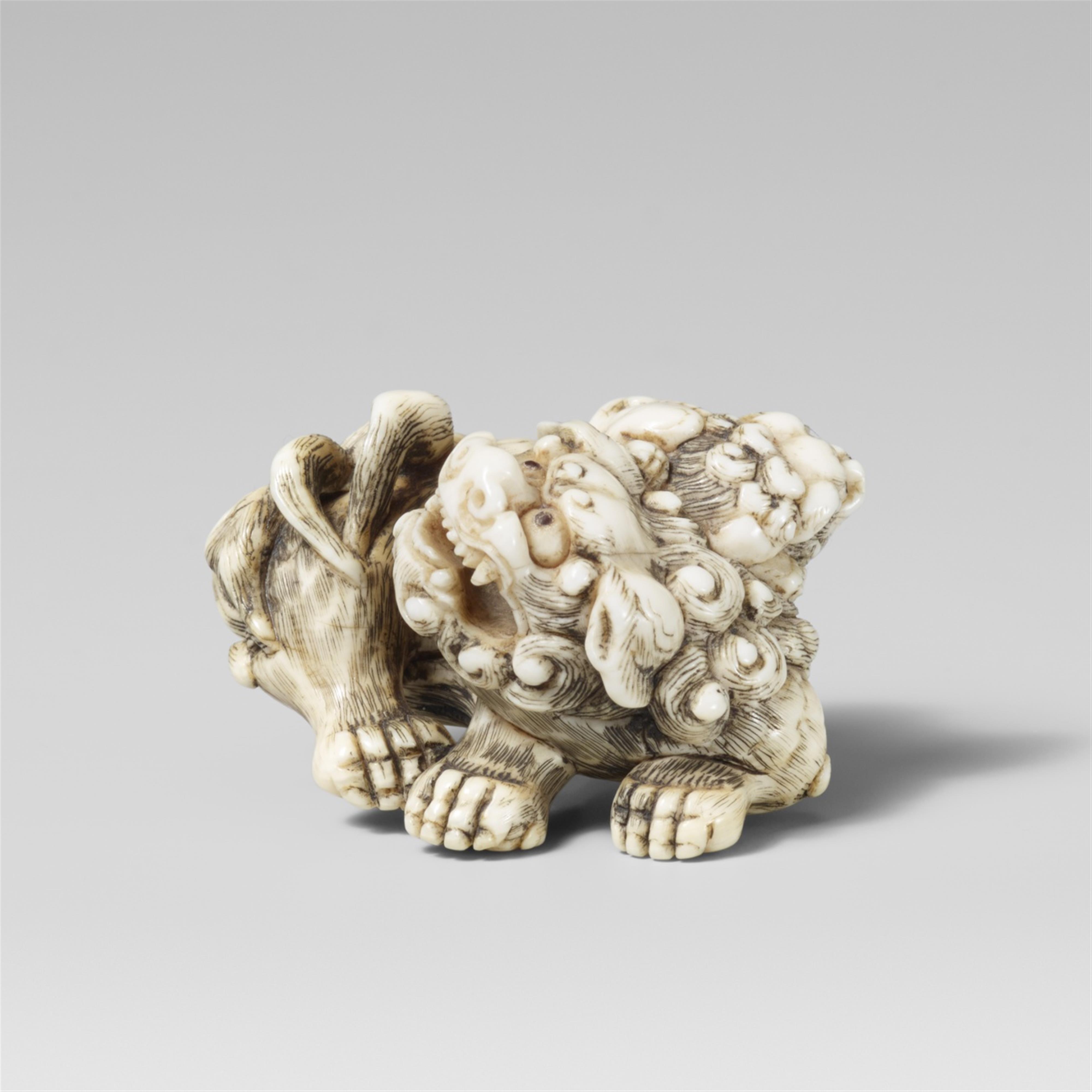 A very fine Kyoto school ivory netsuke of a lively shishi and cub. Early 19th century - image-1