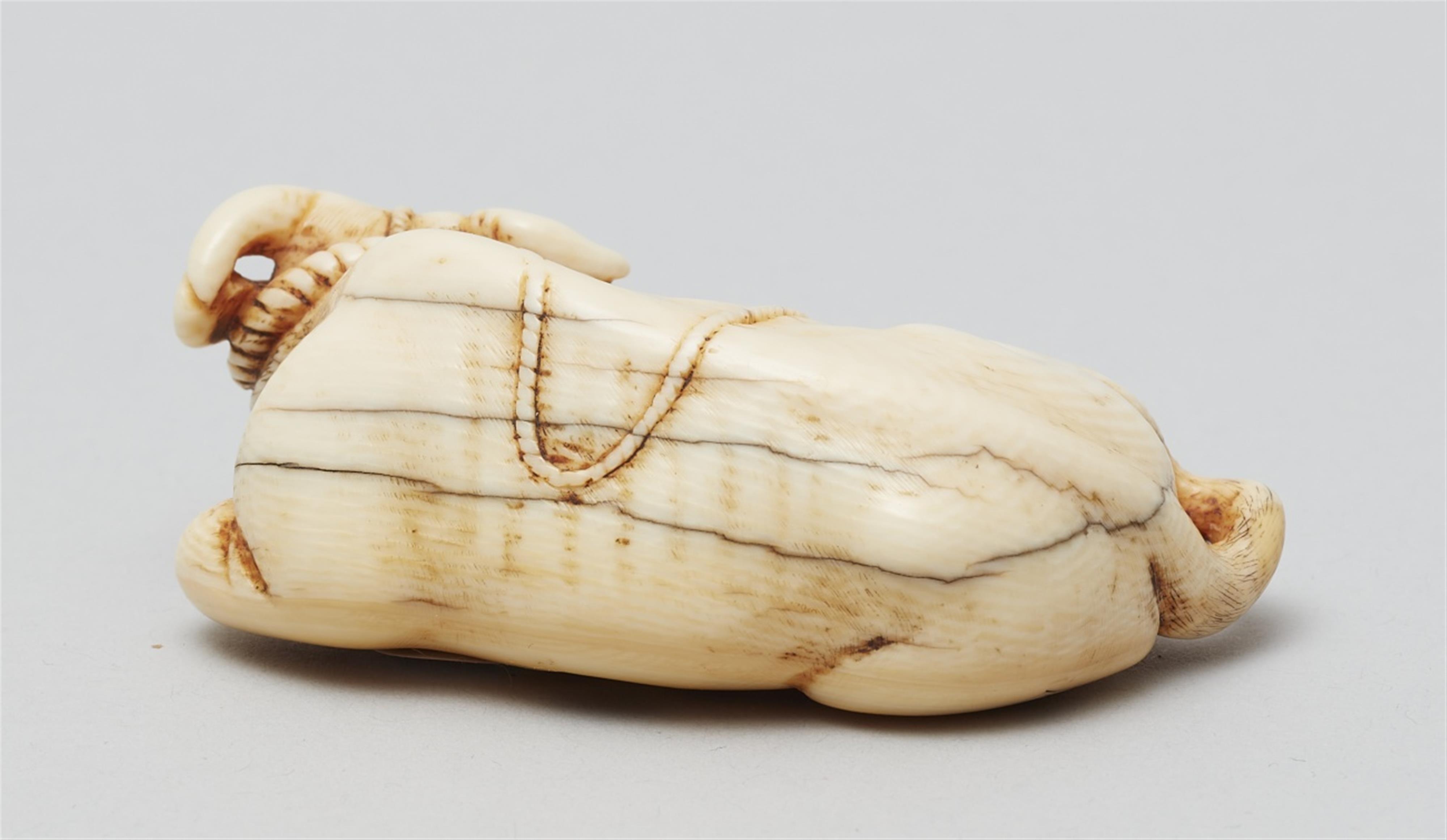 A large ivory netsuke of a recumbent ox and calf. Late 18th/early 19th century - image-3