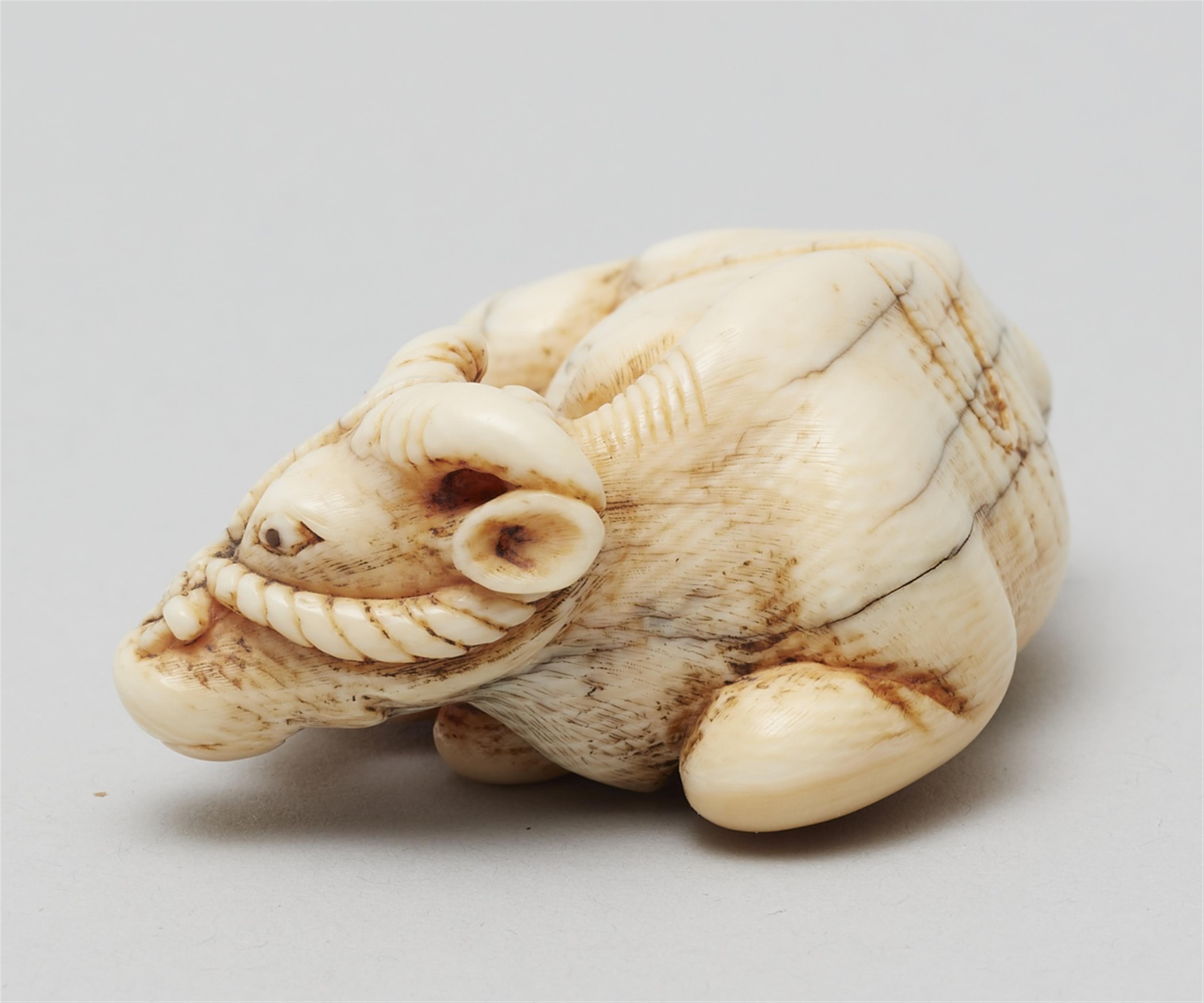 A large ivory netsuke of a recumbent ox and calf. Late 18th/early 19th century - image-4