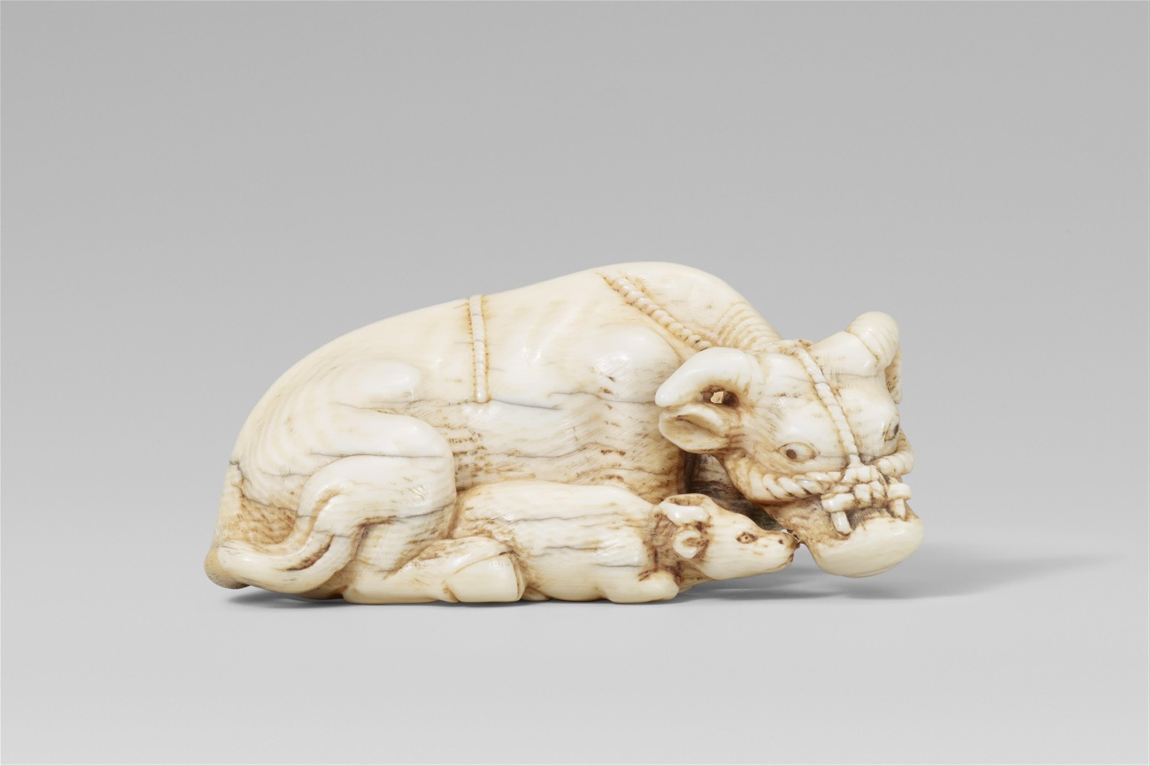 A large ivory netsuke of a recumbent ox and calf. Late 18th/early 19th century - image-1