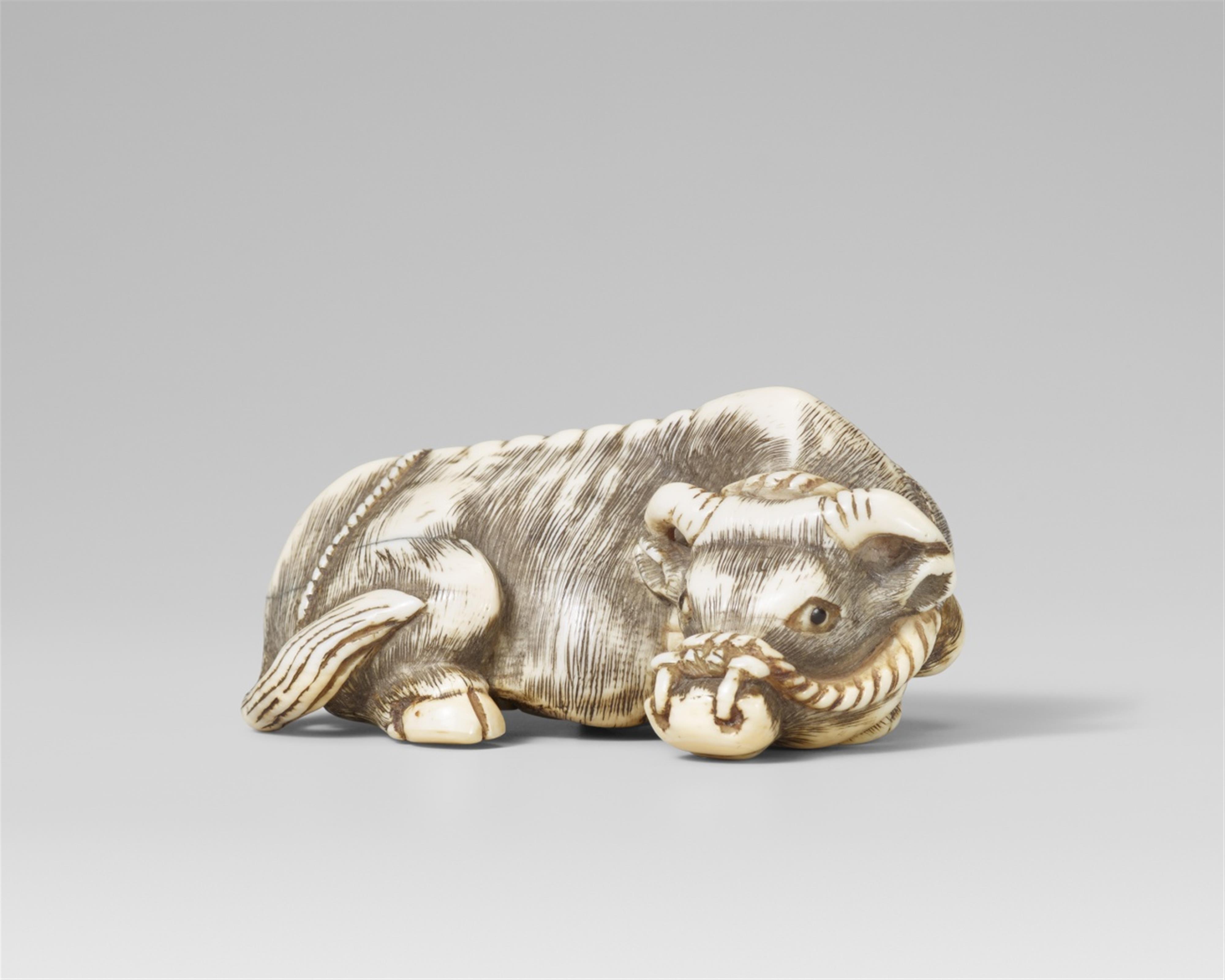 A large ivory netsuke of a recumbent ox. Late 18th/early 19th century - image-1