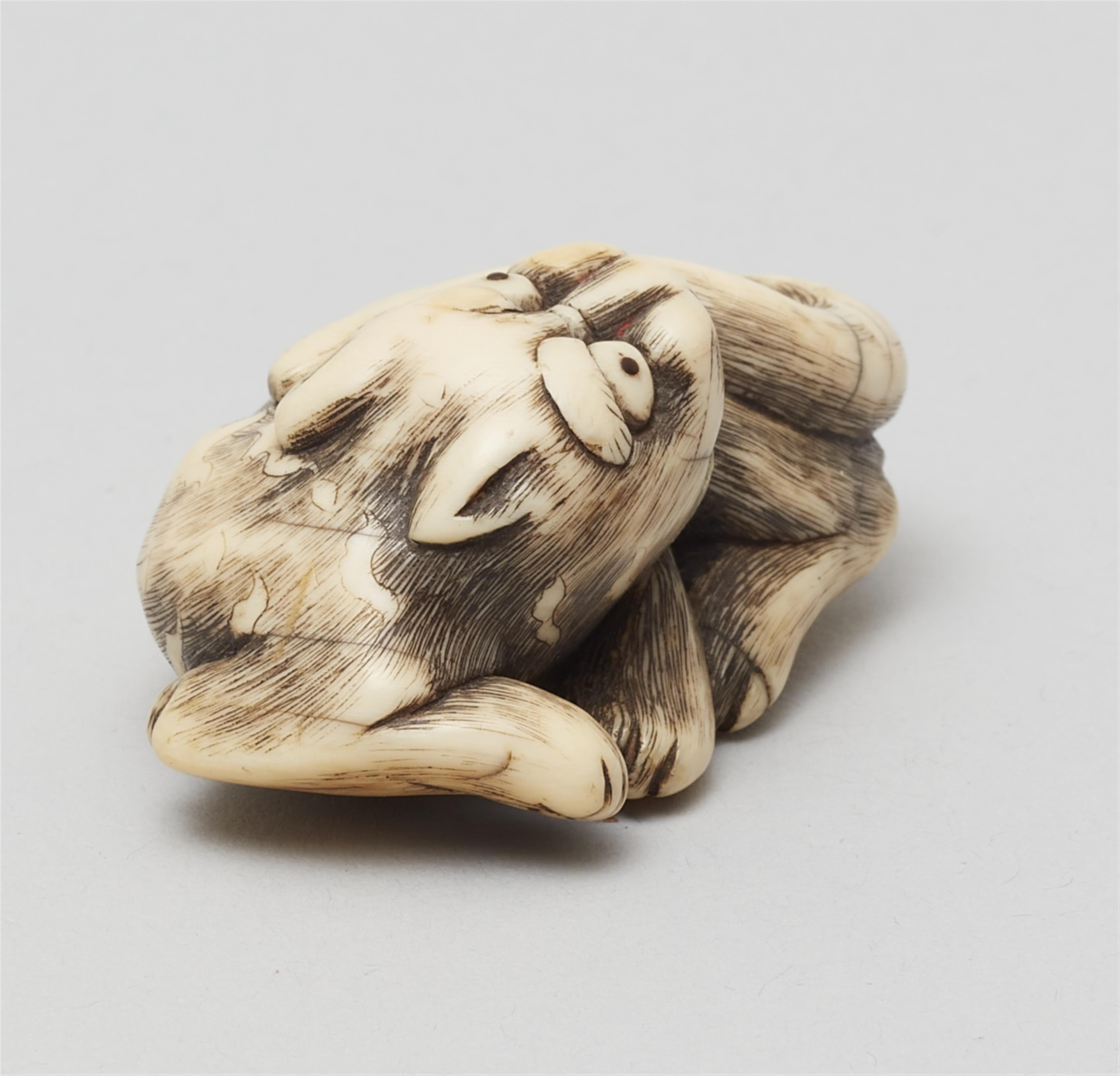 A Kyoto school ivory netsuke of a recumbent tiger. Late 18th century - image-2