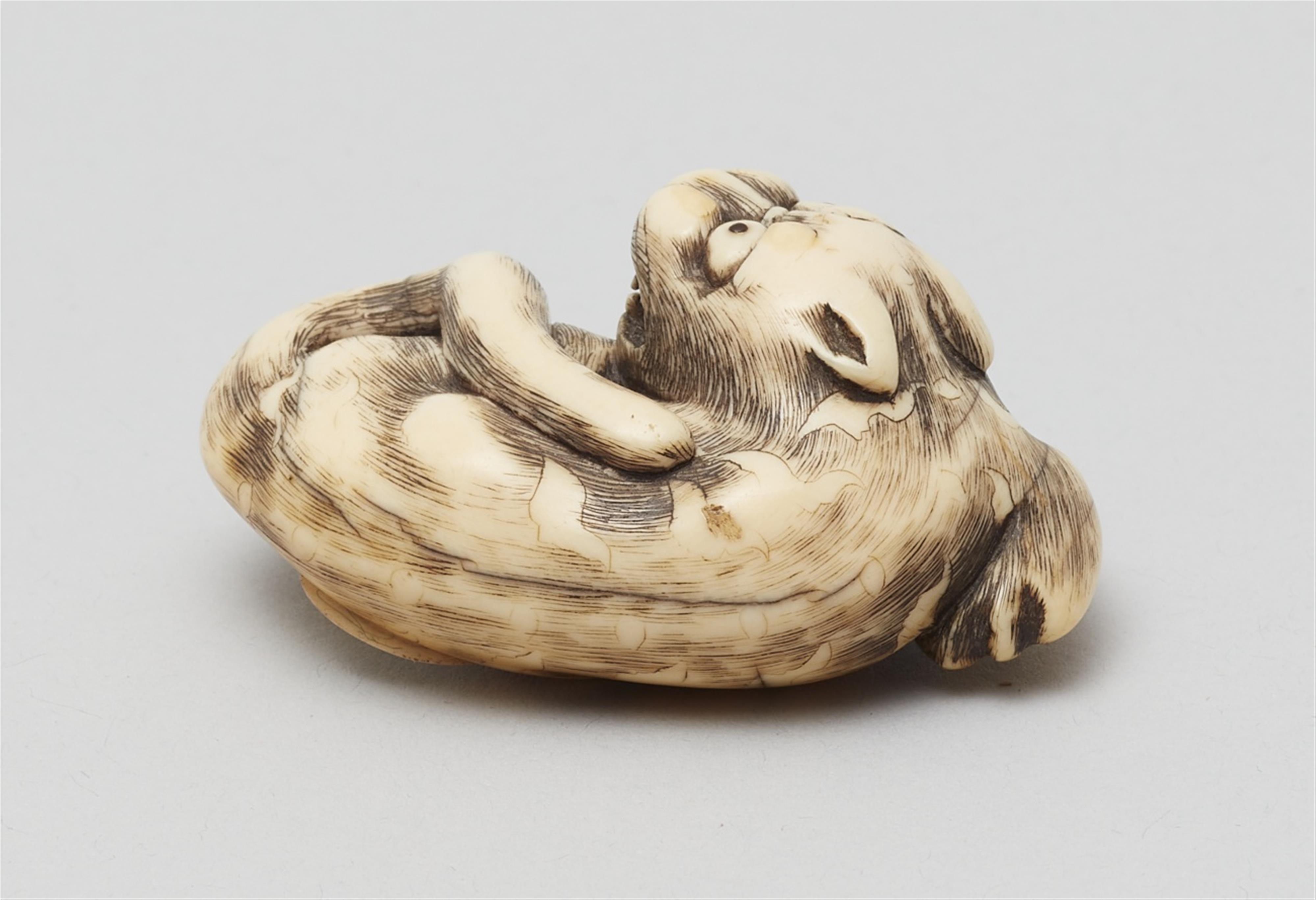 A Kyoto school ivory netsuke of a recumbent tiger. Late 18th century - image-4