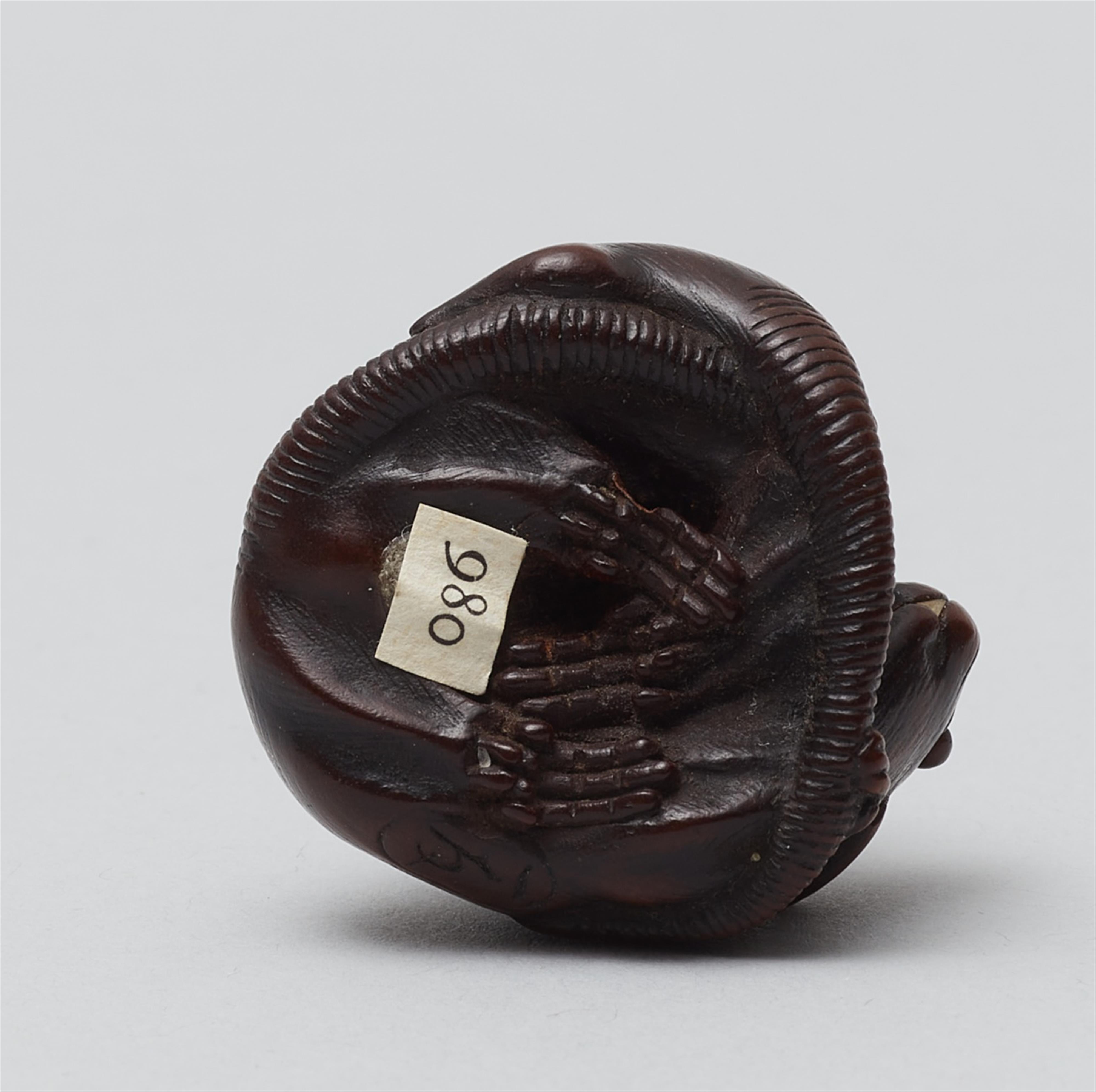 A fine boxwood Nagoya school netsuke of two rats. Mid-19th century - image-5