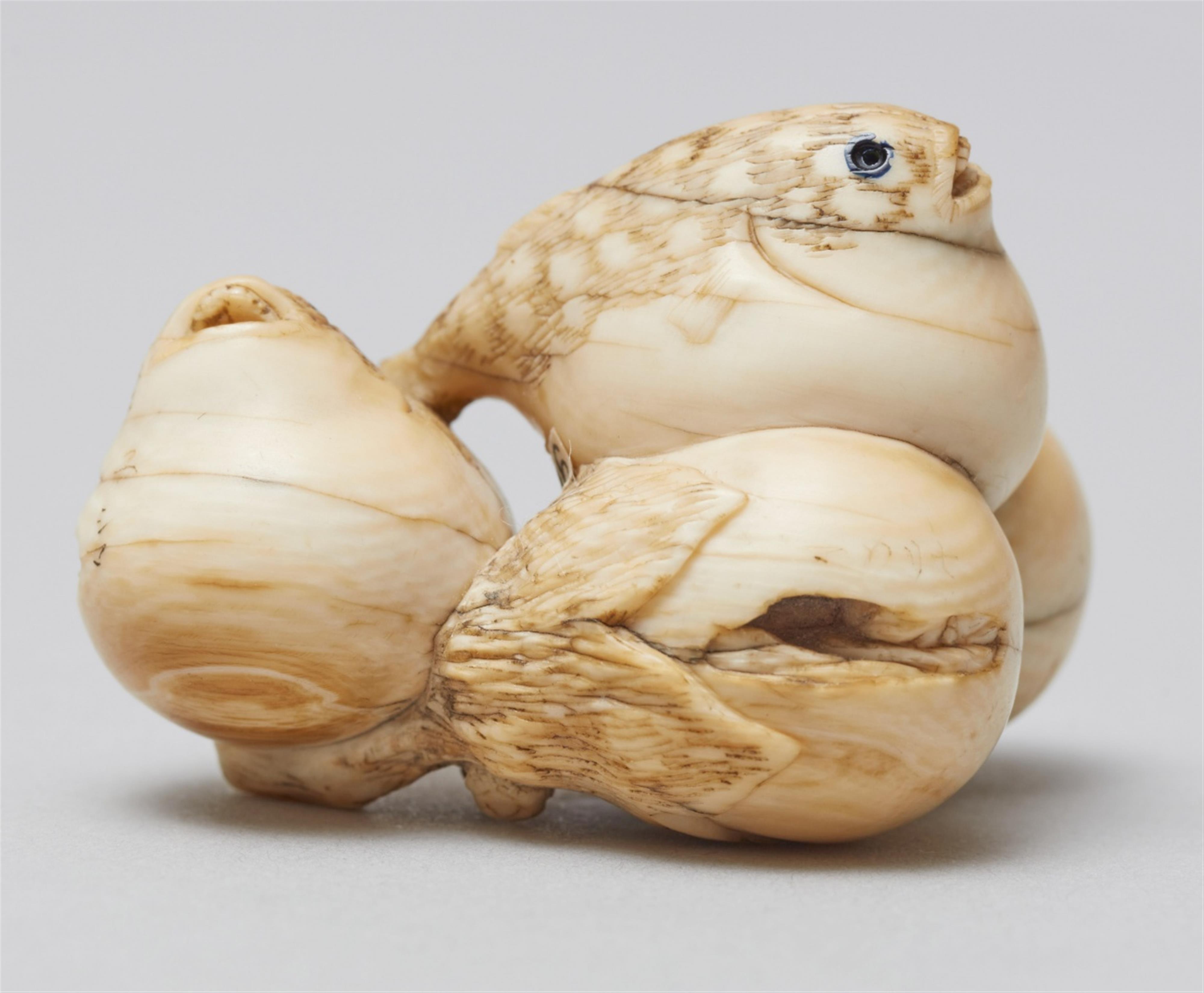 A rare and interesting ivory netsuke of two blowfish and two eggplants. Mid-19th century - image-2