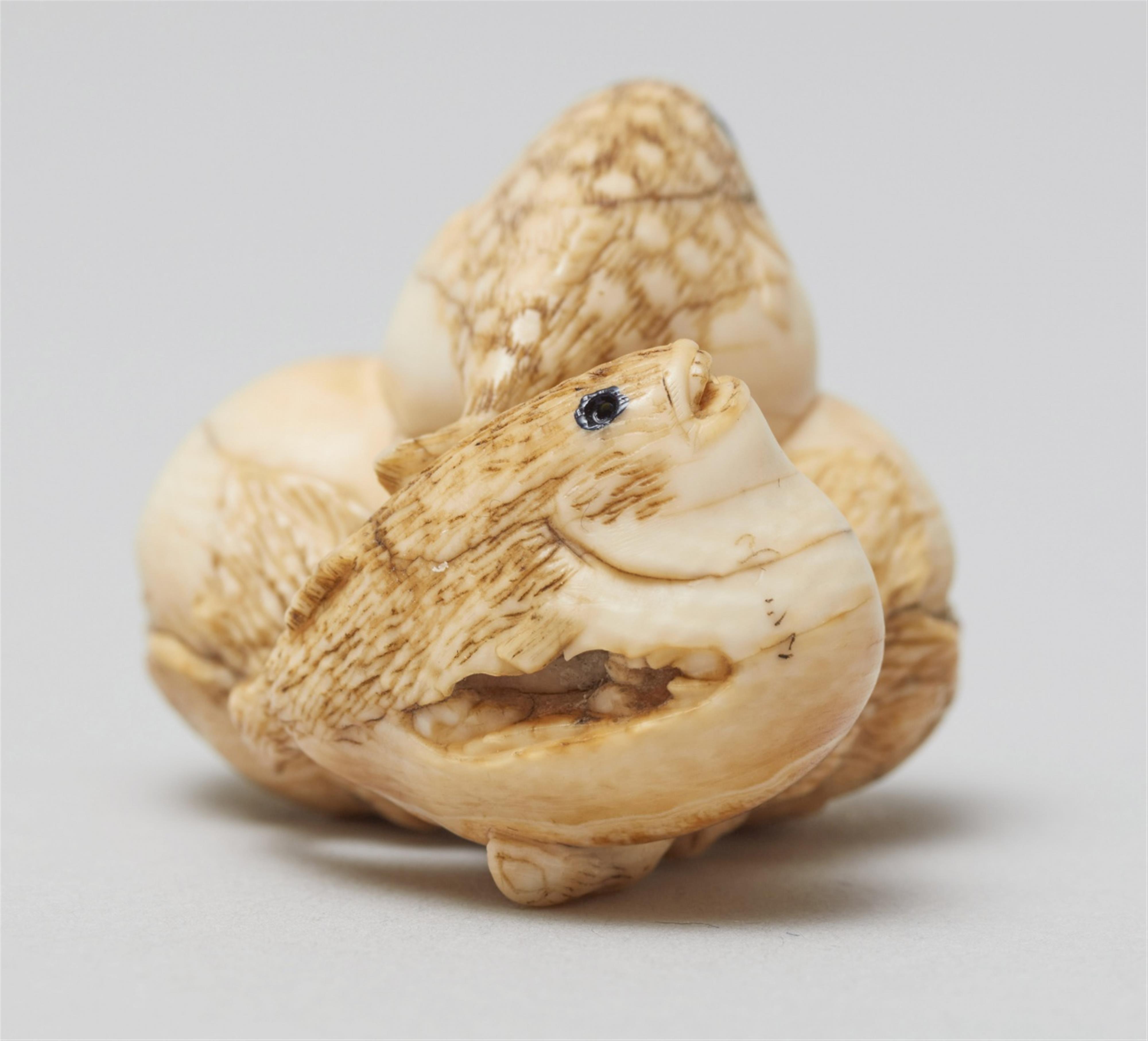 A rare and interesting ivory netsuke of two blowfish and two eggplants. Mid-19th century - image-3