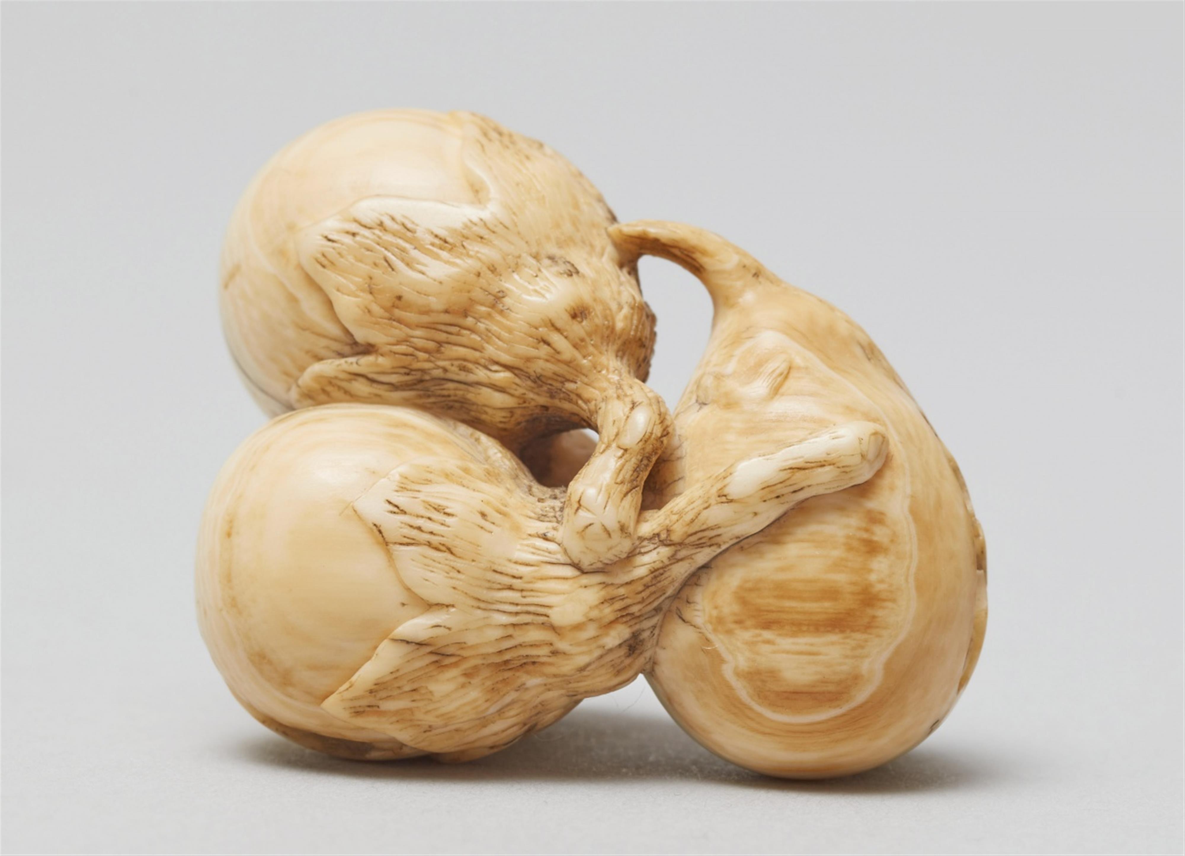 A rare and interesting ivory netsuke of two blowfish and two eggplants. Mid-19th century - image-5