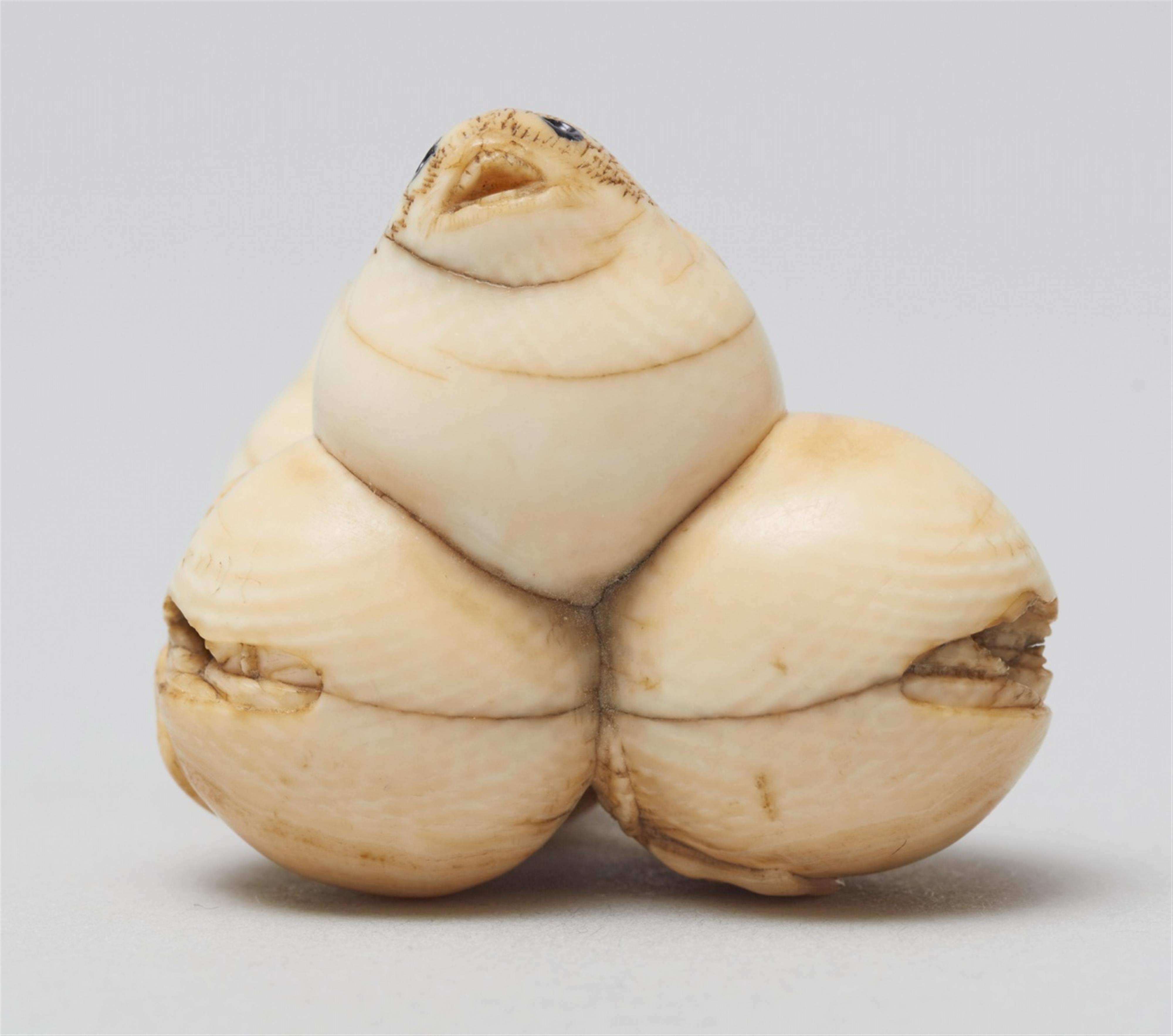 A rare and interesting ivory netsuke of two blowfish and two eggplants. Mid-19th century - image-6