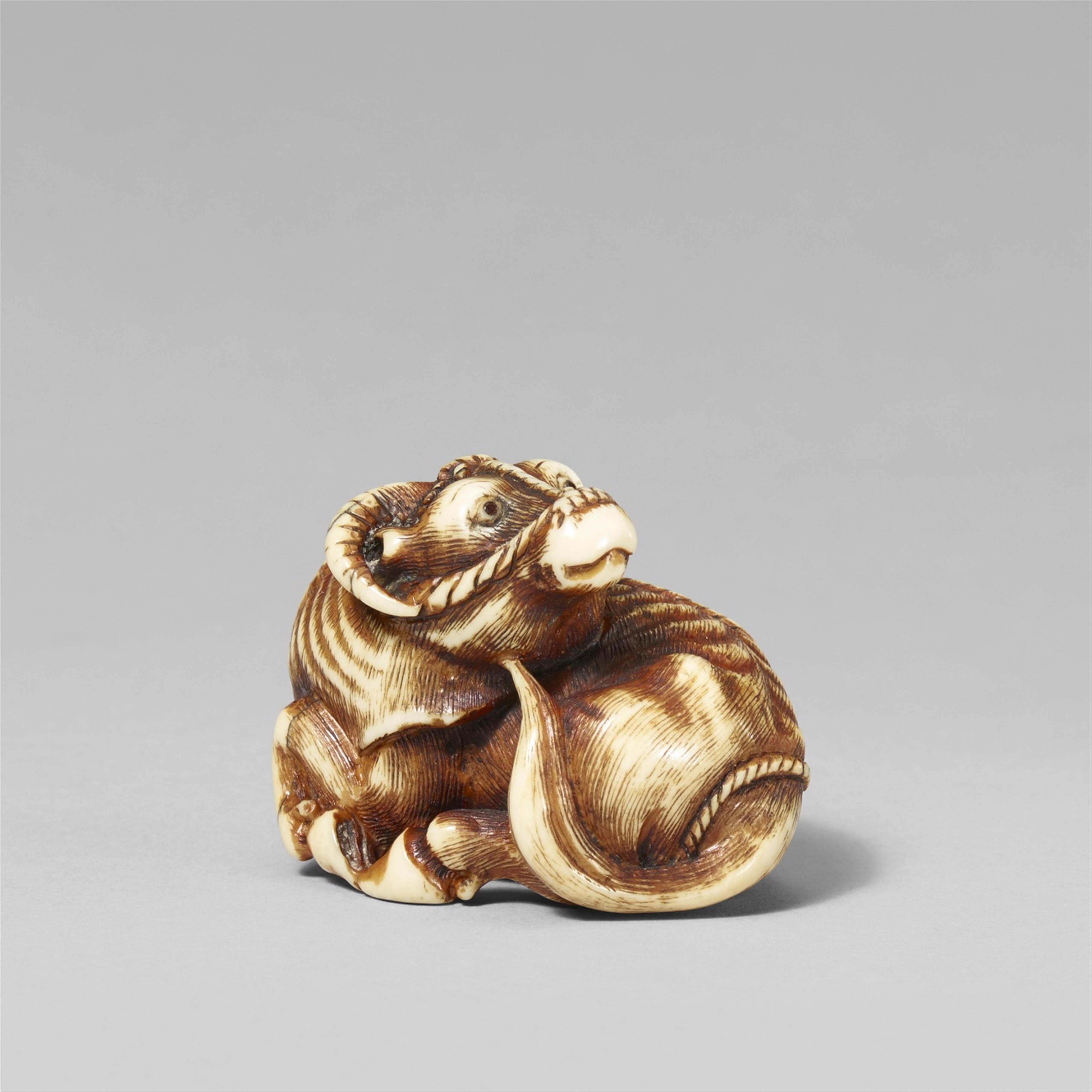 A large ivory netsuke of a recumbent ox. 19th/20th century - image-1