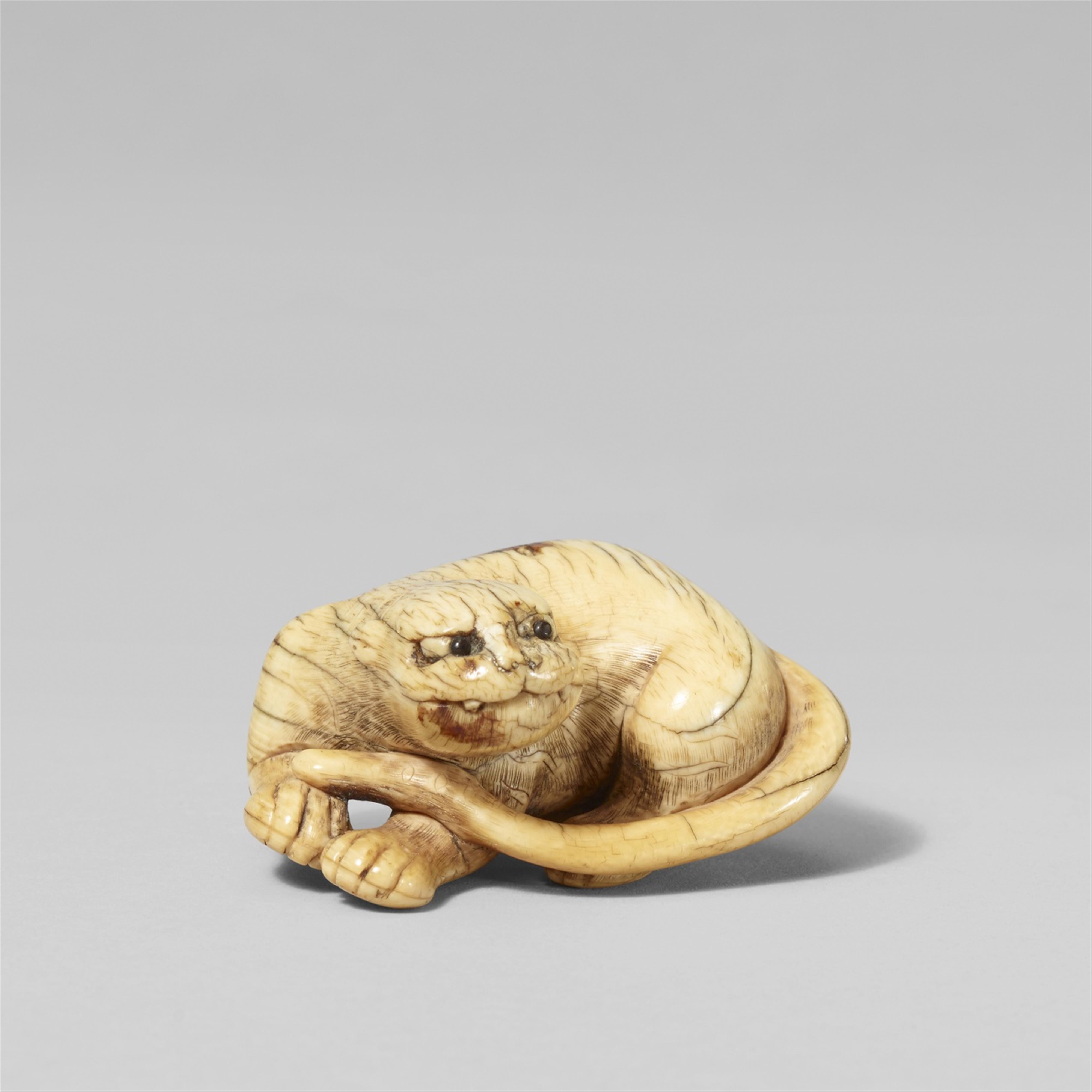 An ivory netsuke of a reclining tiger. 18th century - image-1