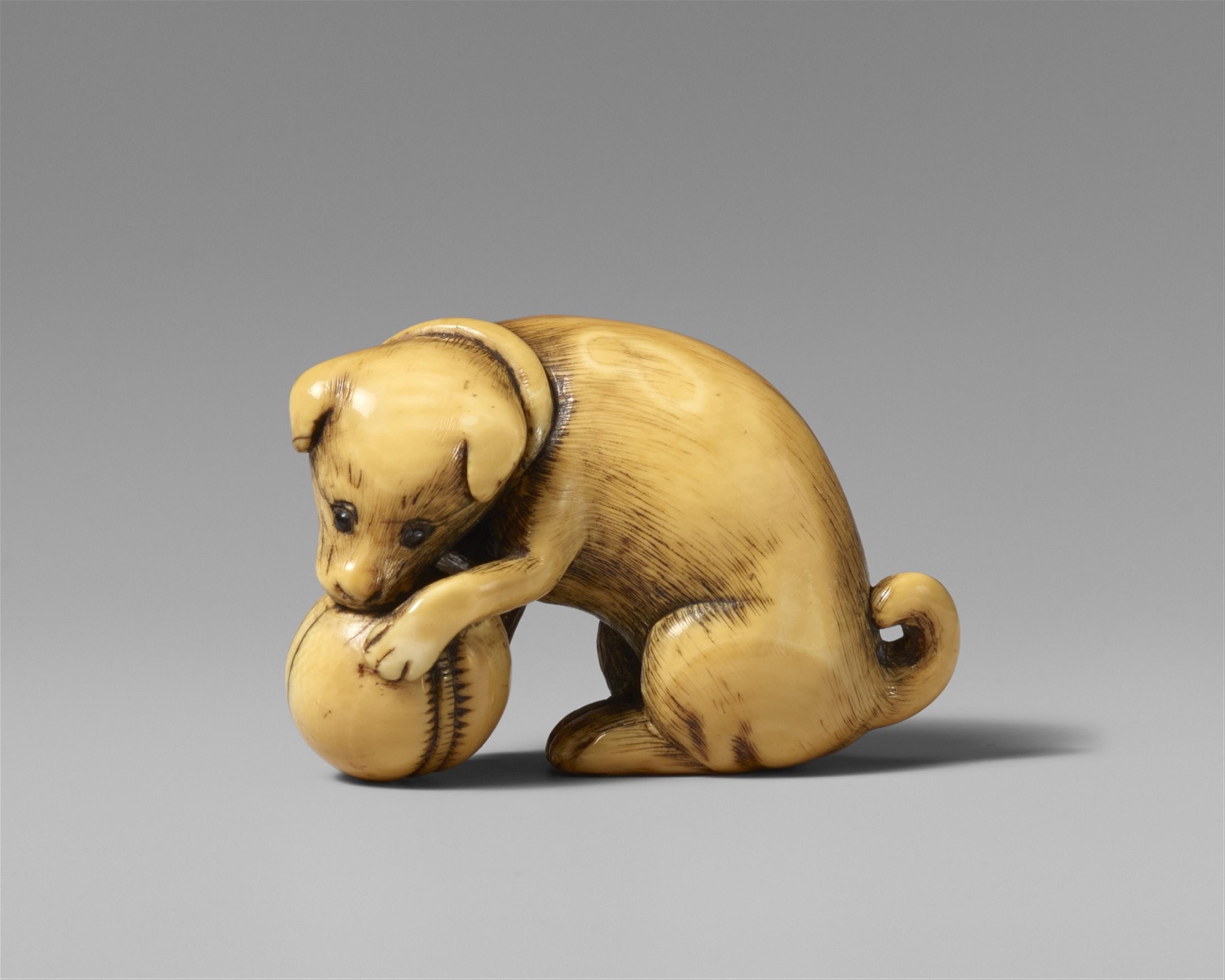 An ivory netsuke of a playing dog. Late 18th century - image-1