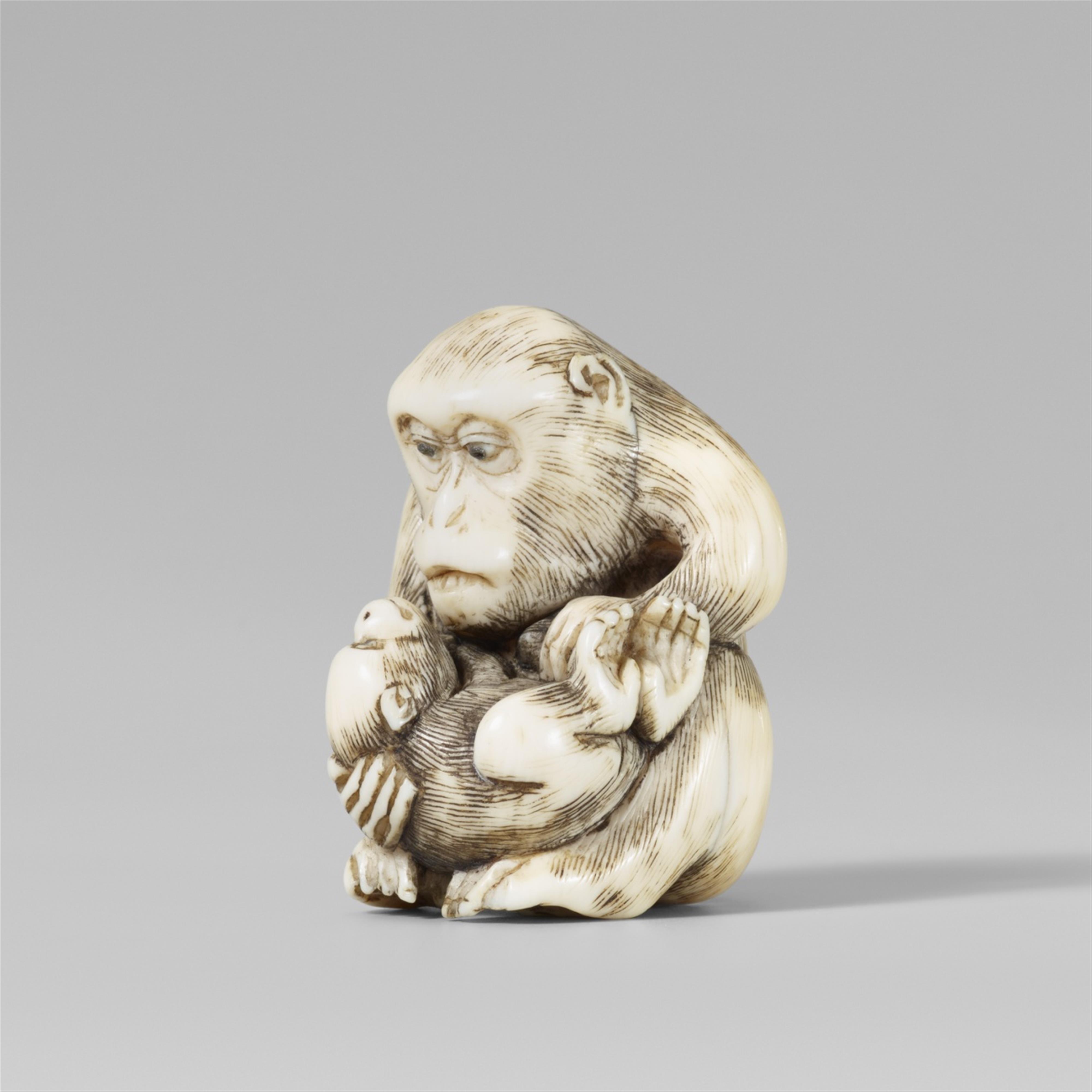 An ivory netsuke of a monkey and young. 19th century - image-1