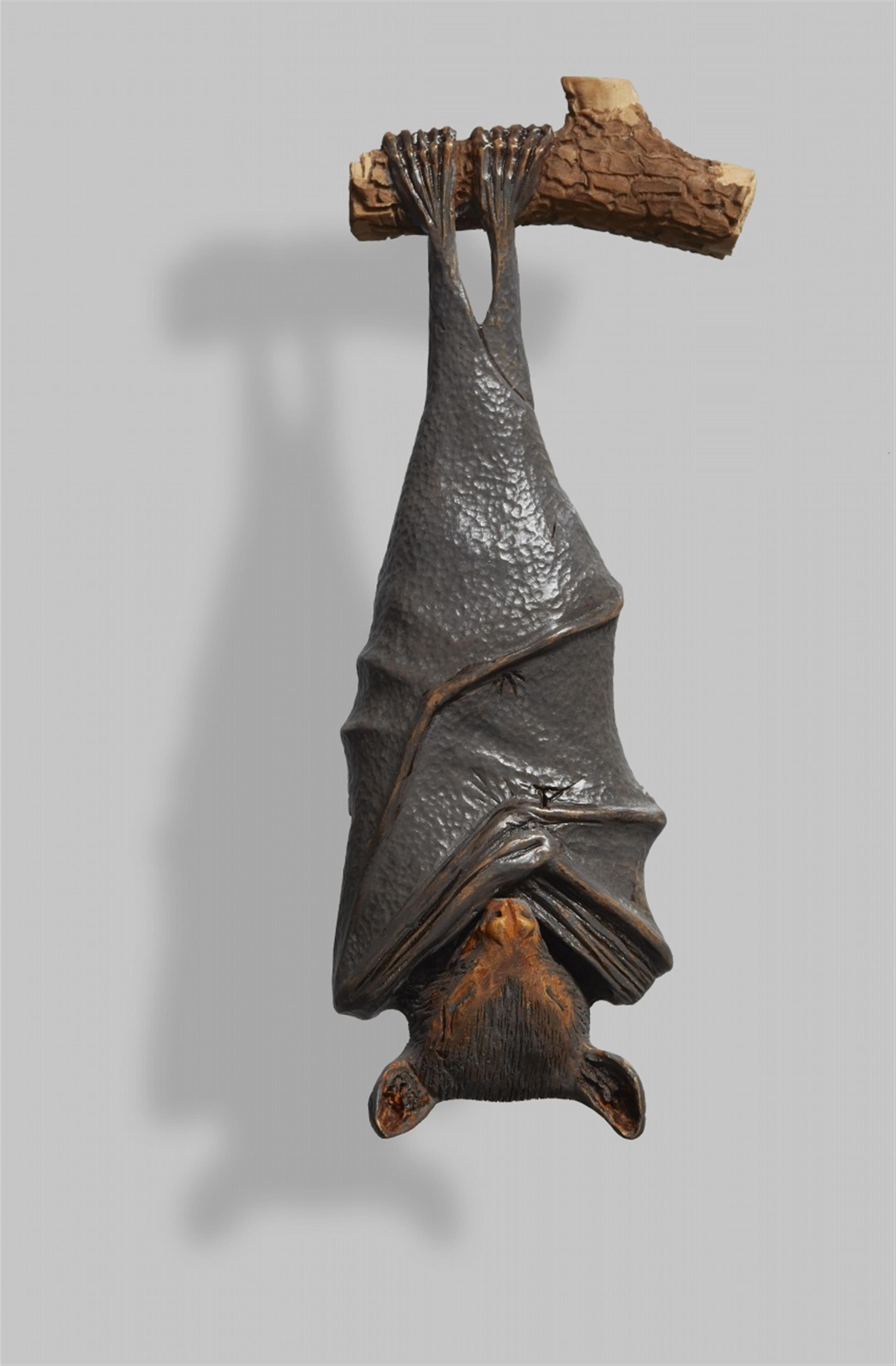 Chauve-souris endormie / A Sleeping bat. Yann Christope Lemaire. 2017 - image-1